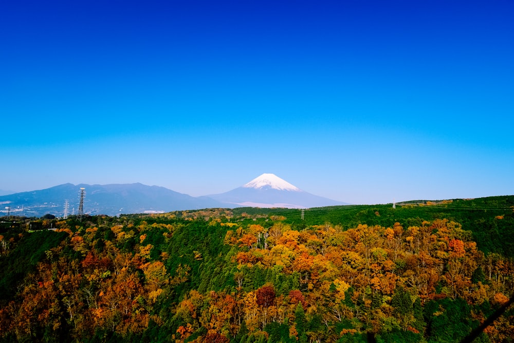 a view of a mountain in the distance with trees in the foreground