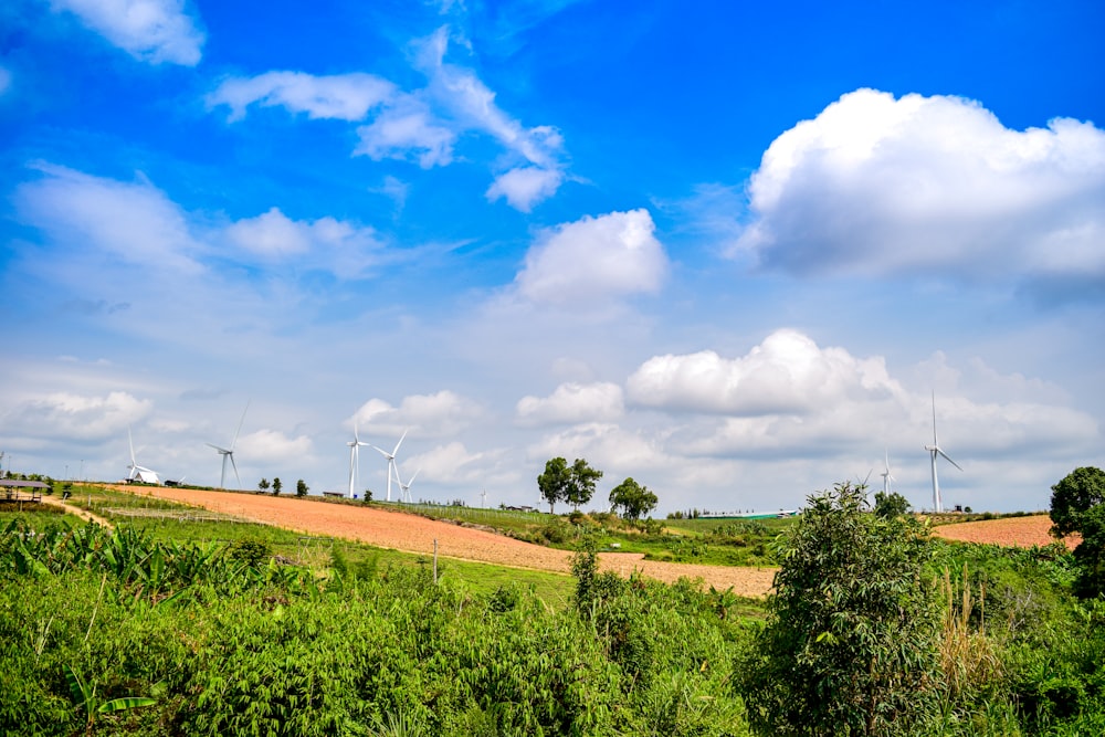 a lush green field with wind mills in the background