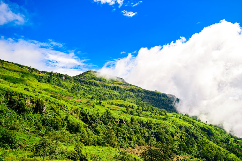 a lush green hillside under a blue sky