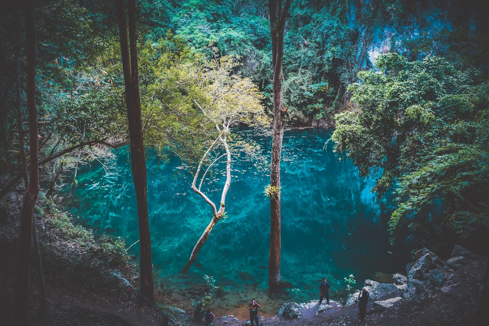 a group of people standing in a forest next to a lake