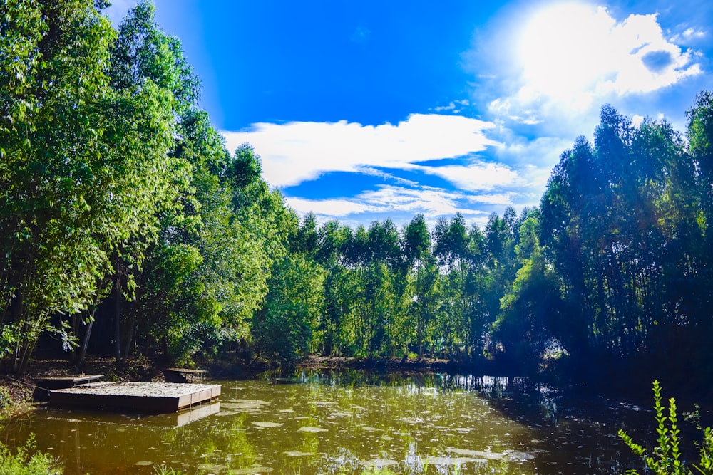 a body of water surrounded by trees and a dock