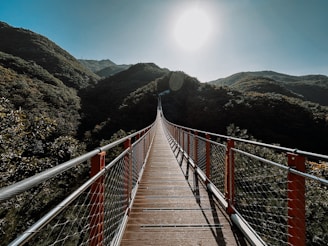 a wooden walkway in the middle of a mountain