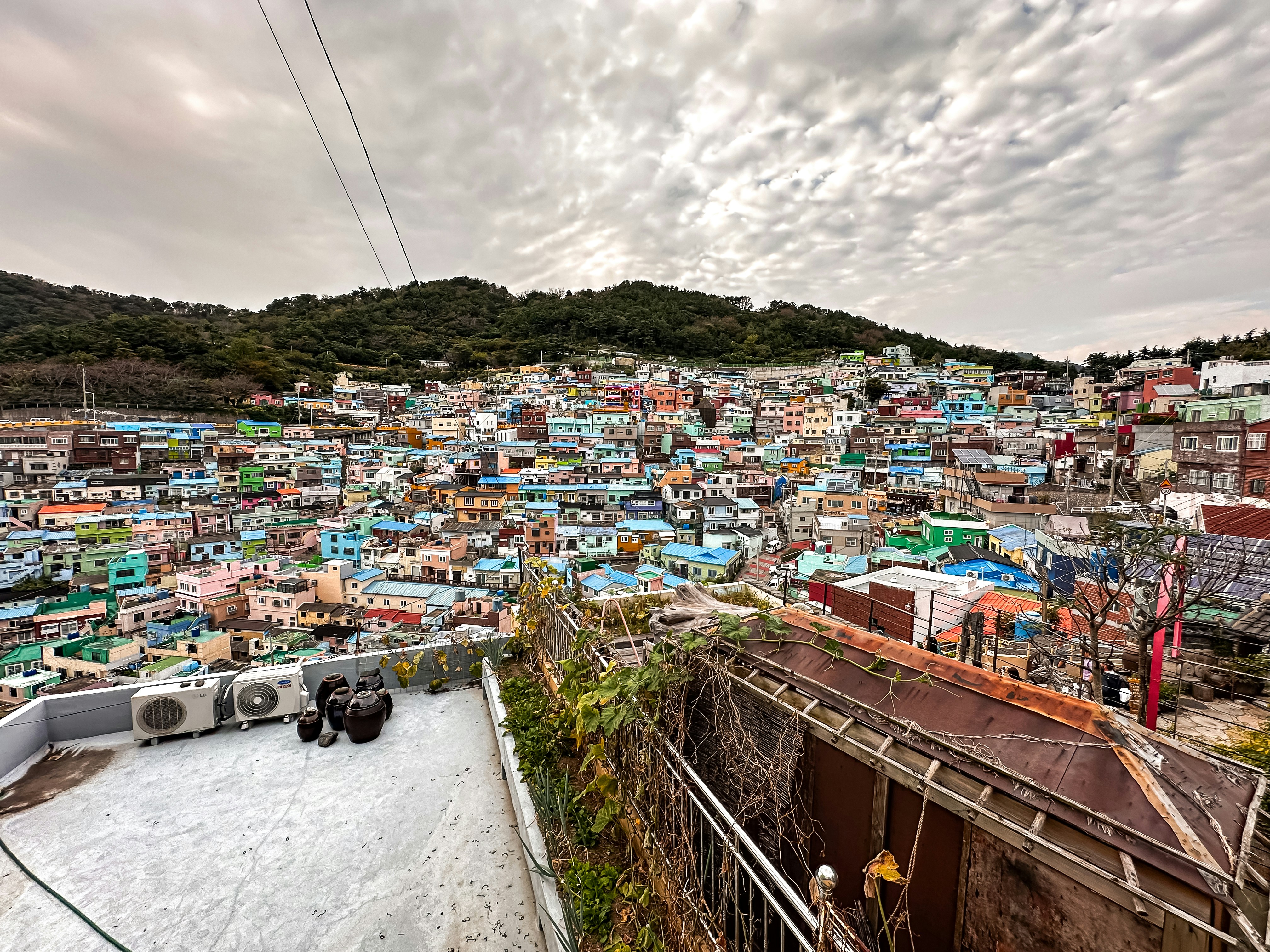 色とりどりの建物が立ち並ぶ街の風景