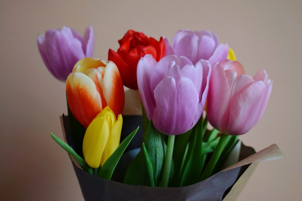 a bouquet of colorful tulips in a vase