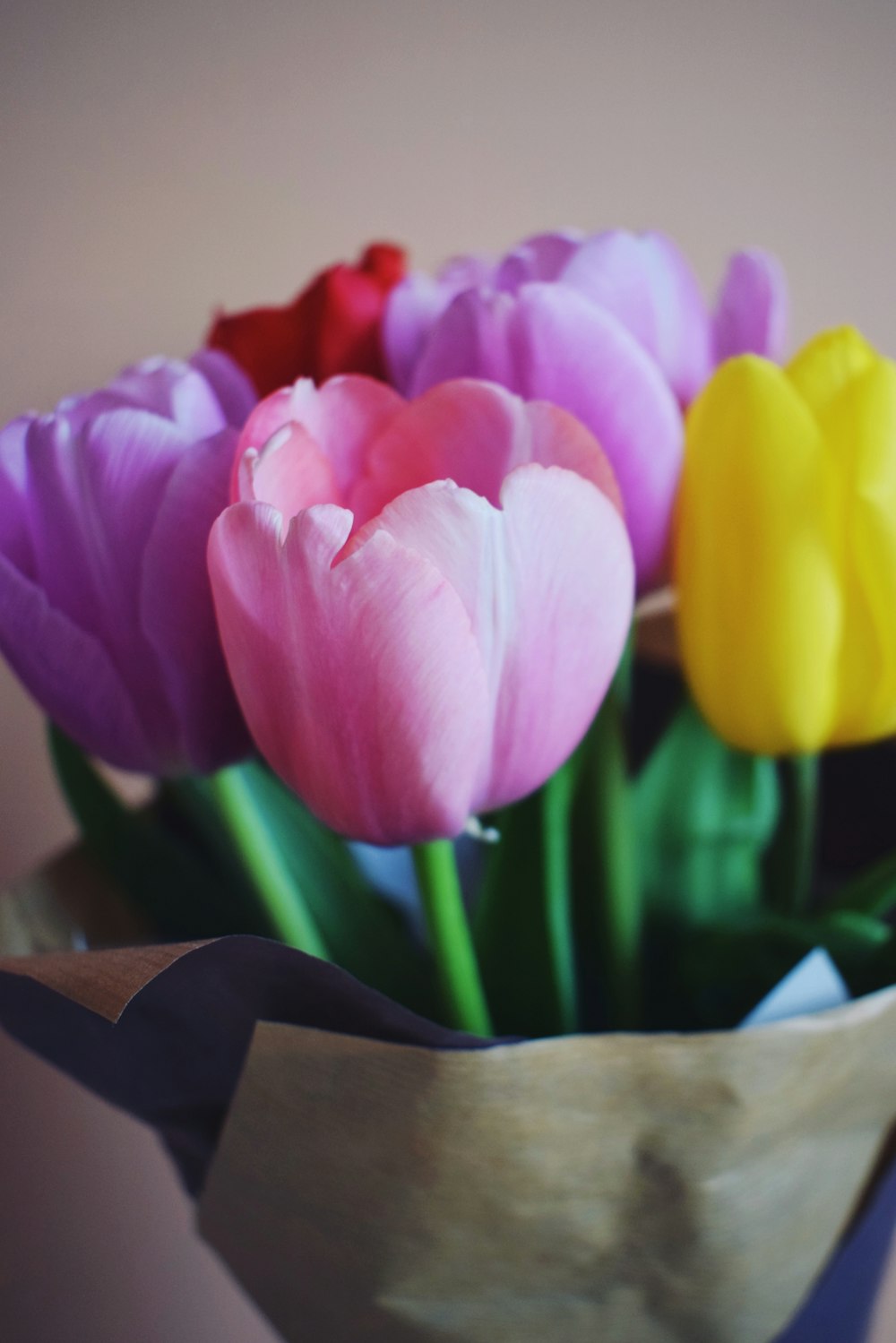 a bouquet of colorful tulips in a paper bag