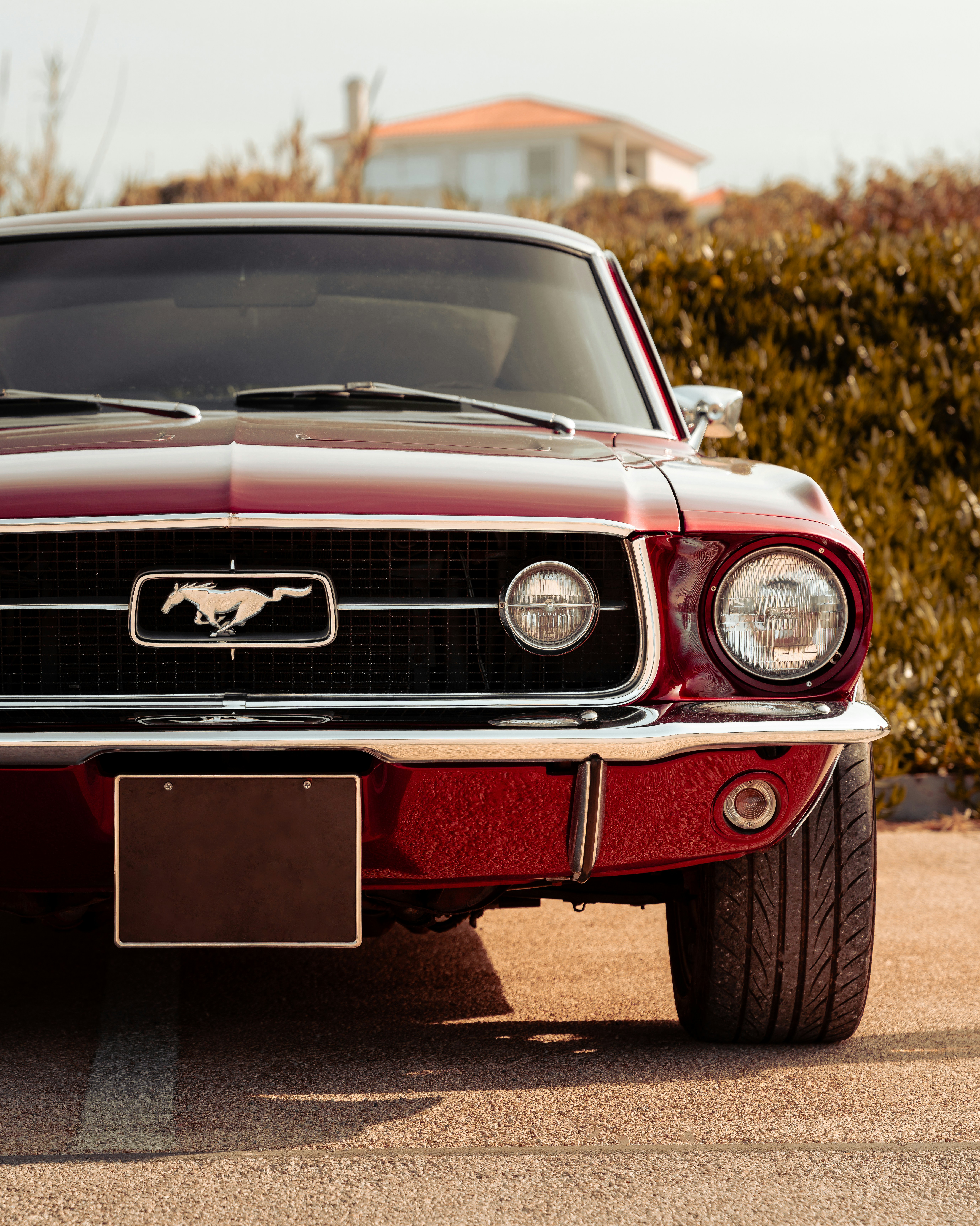 Photo by tiago_f_ferreira