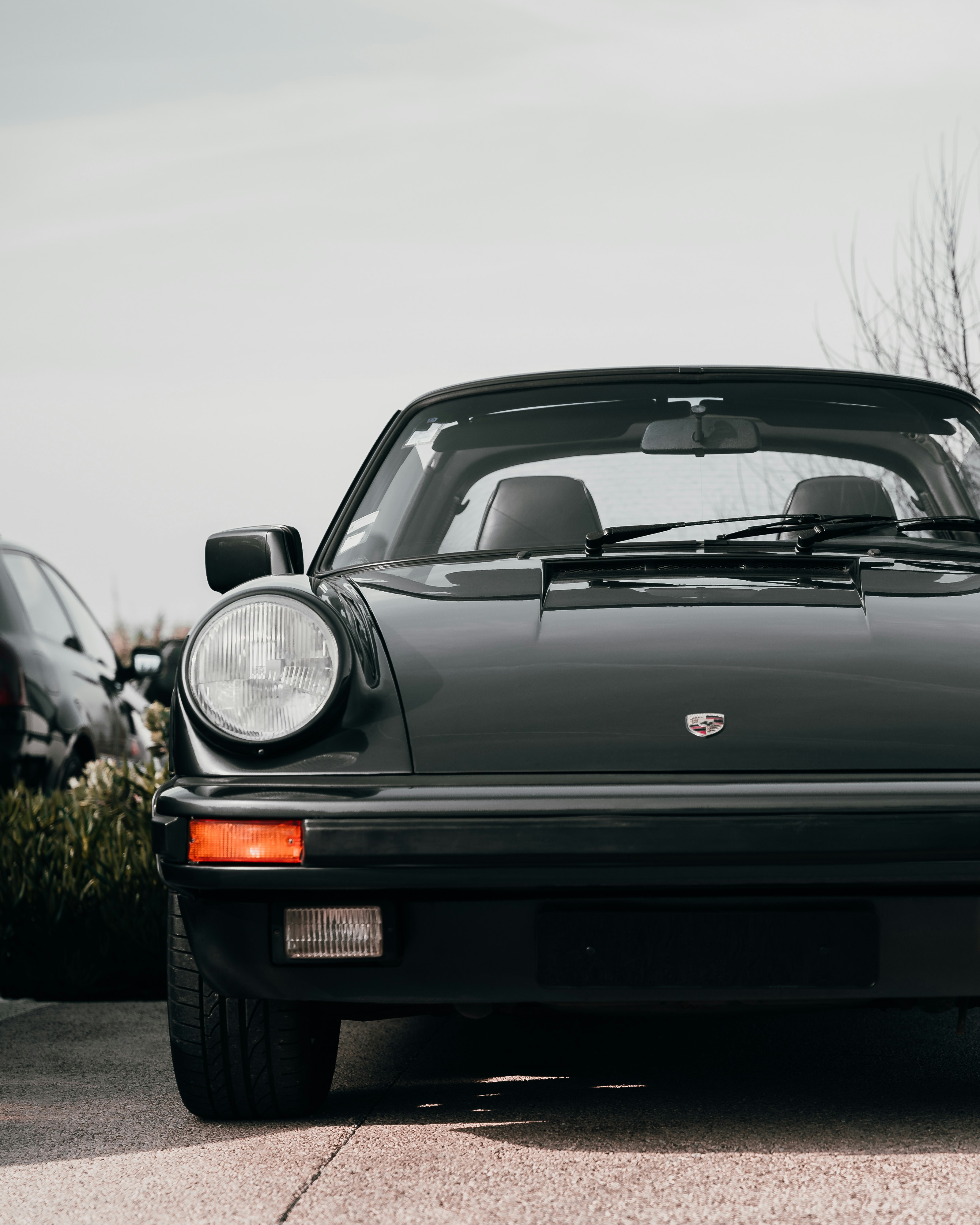 Photo by tiago_f_ferreira