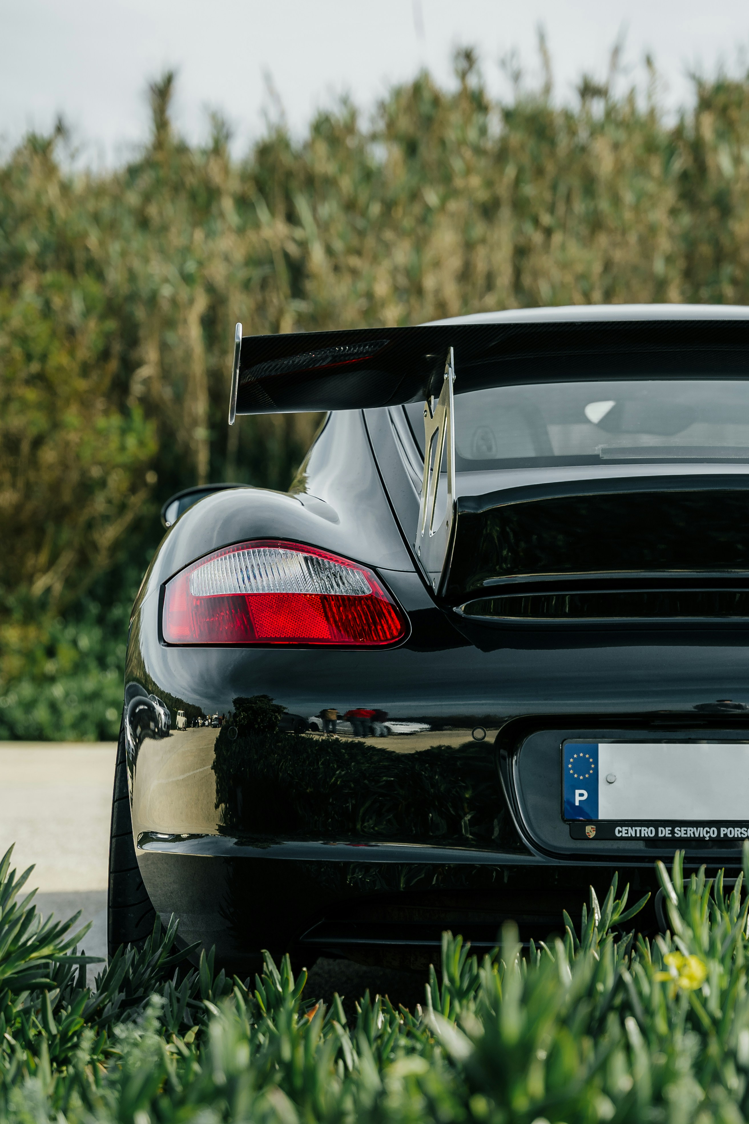 Photo by tiago_f_ferreira