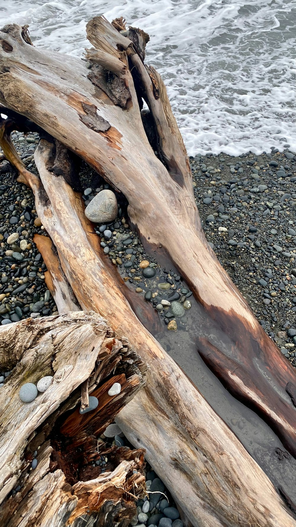 a log laying on top of a beach next to the ocean