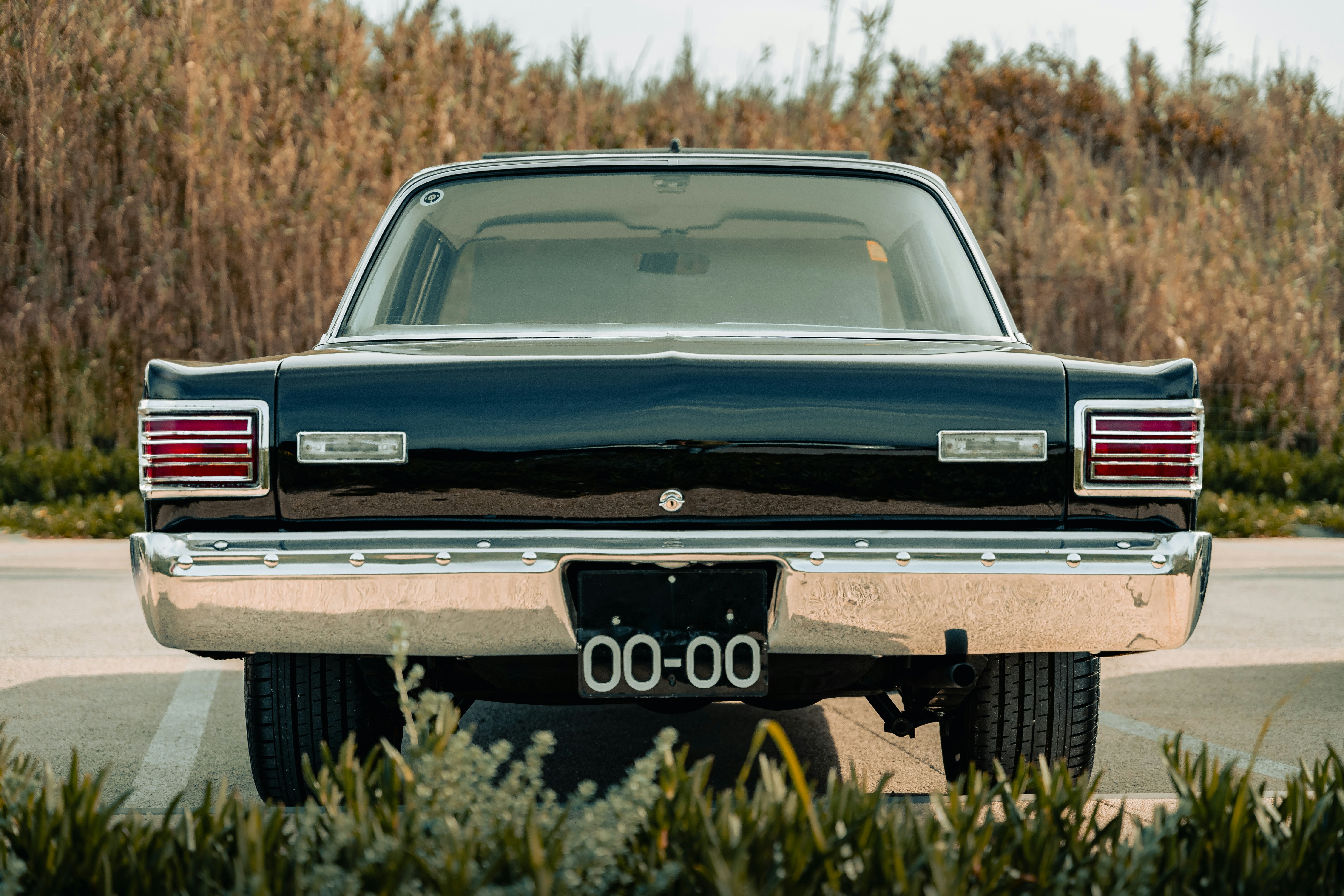 Photo by tiago_f_ferreira