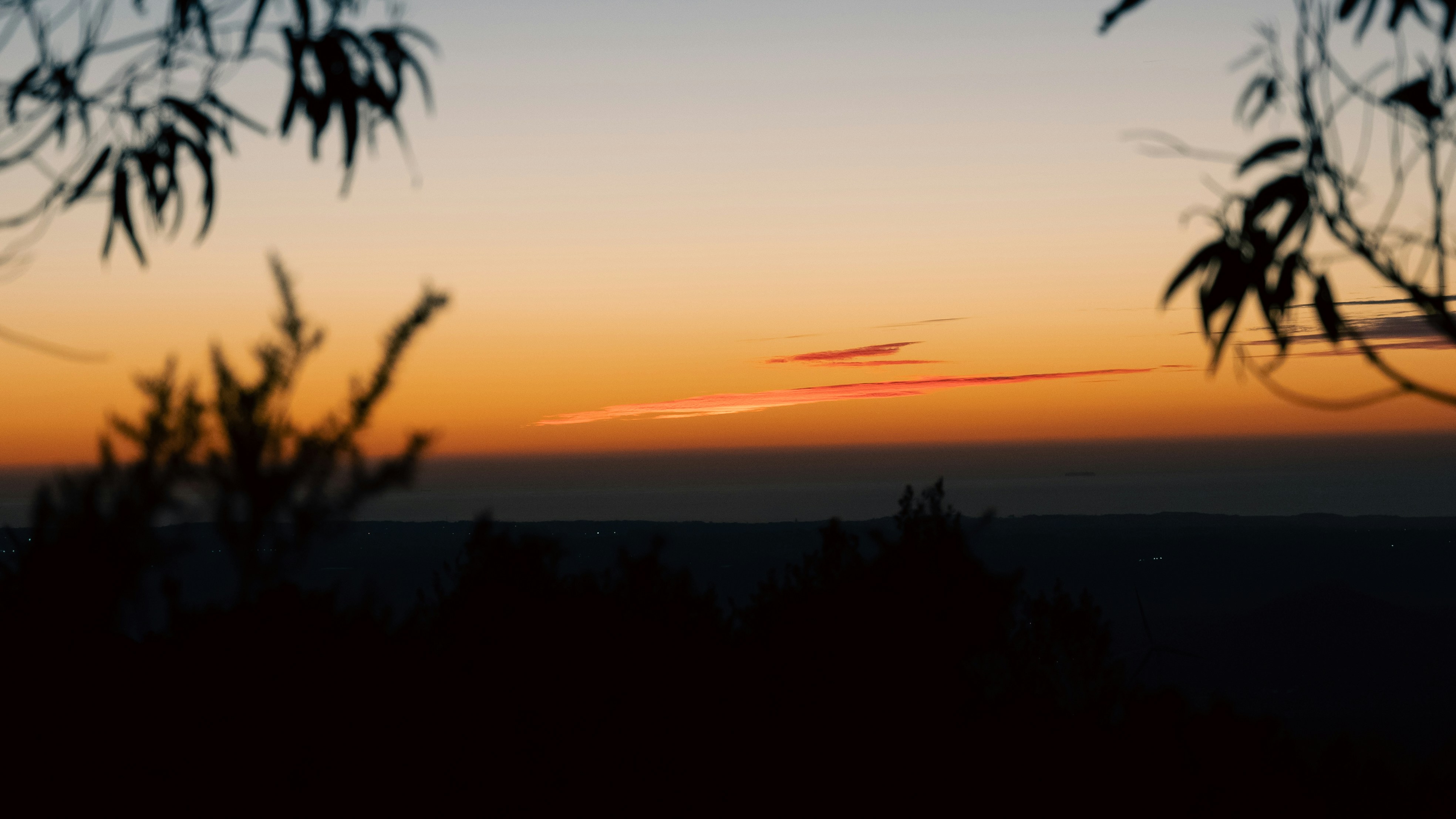 Photo by tiago_f_ferreira