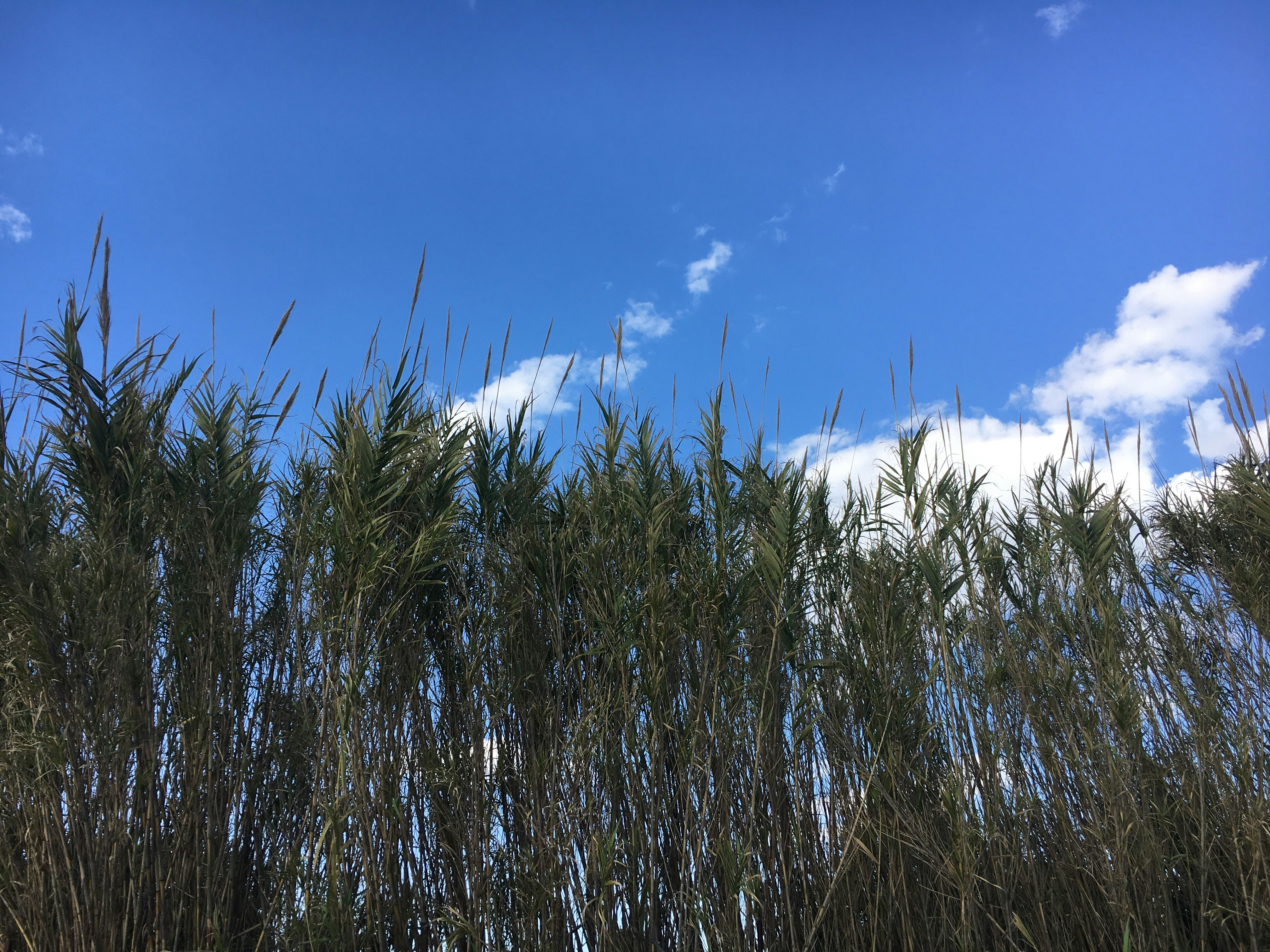 Photo by serifebetulbilge