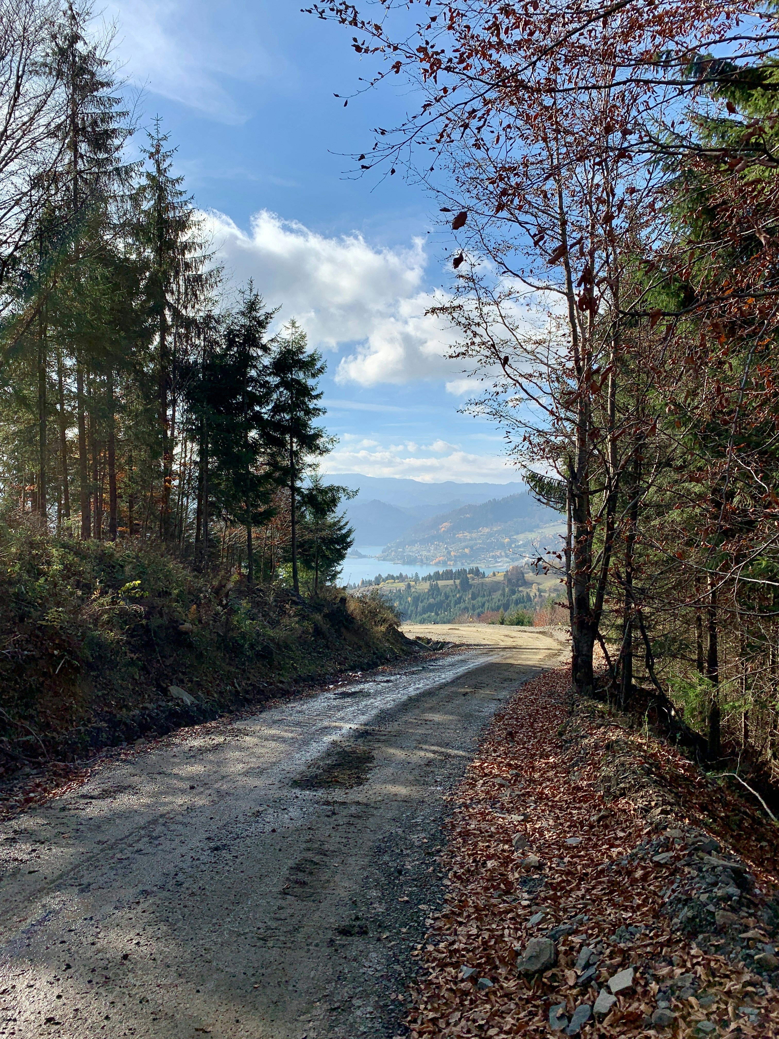 a dirt road in the middle of a wooded area