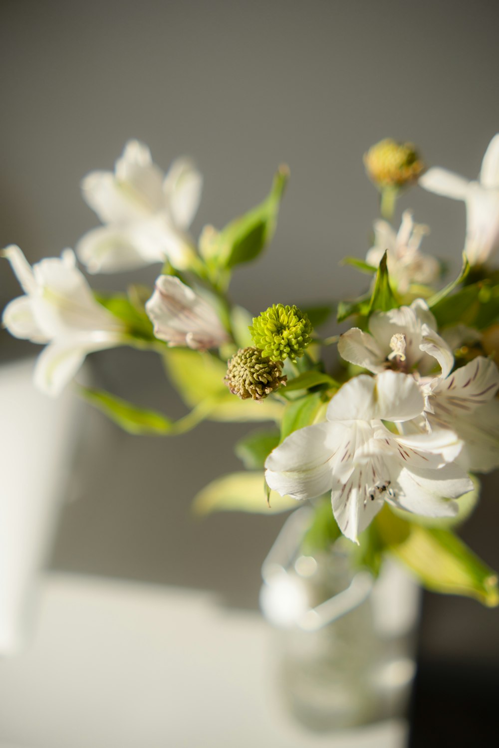 a vase filled with white flowers on top of a table