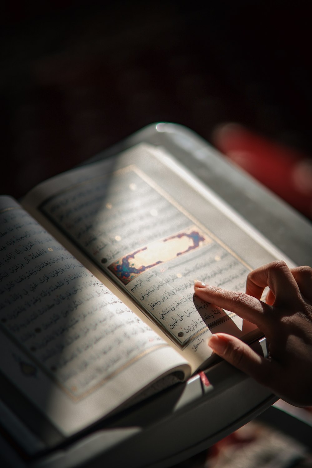 a person holding a book in their hands