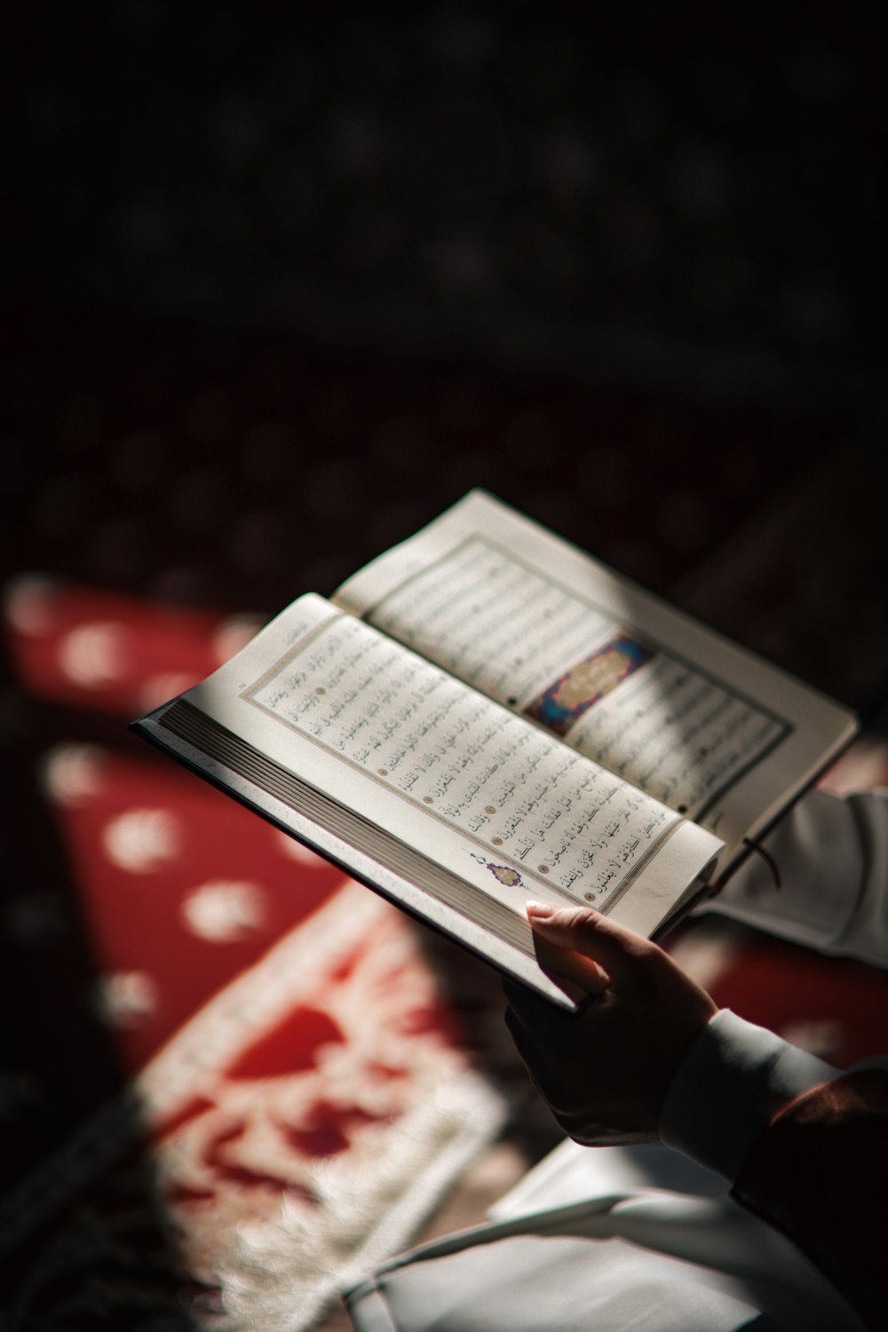 a person holding a book in their hands