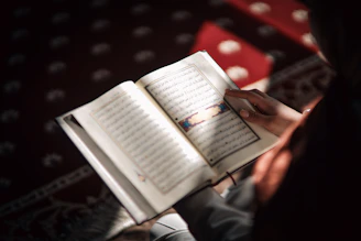 a person holding a book in their hands
