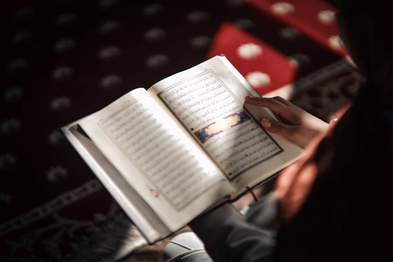 a person holding a book in their hands