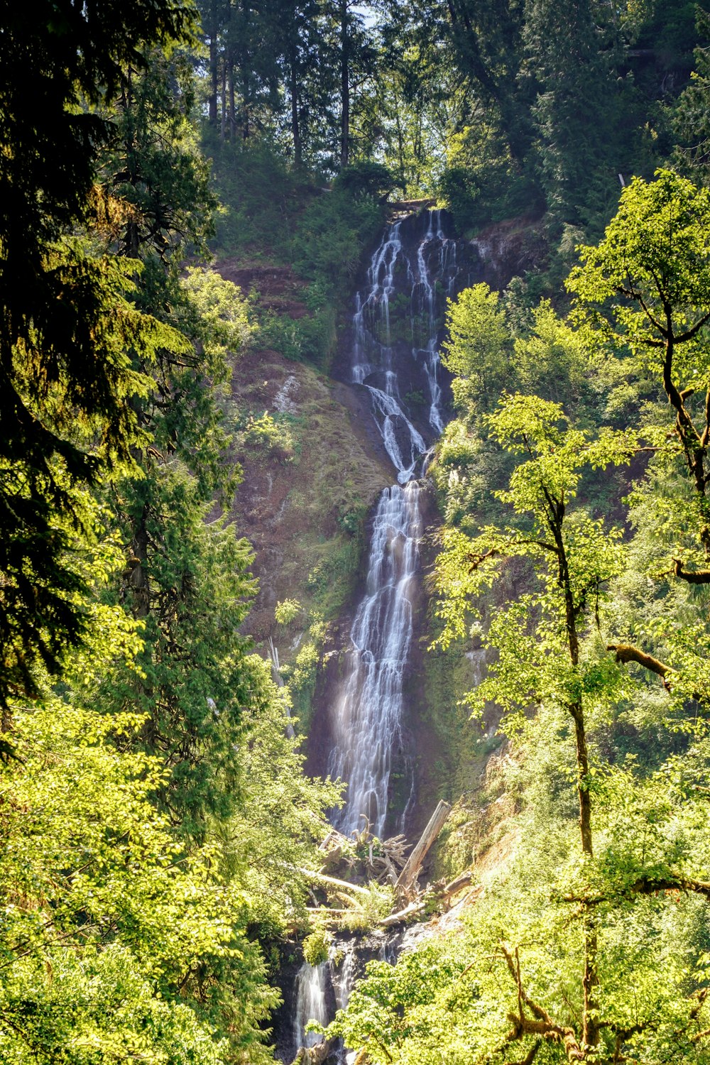 a waterfall in the middle of a forest