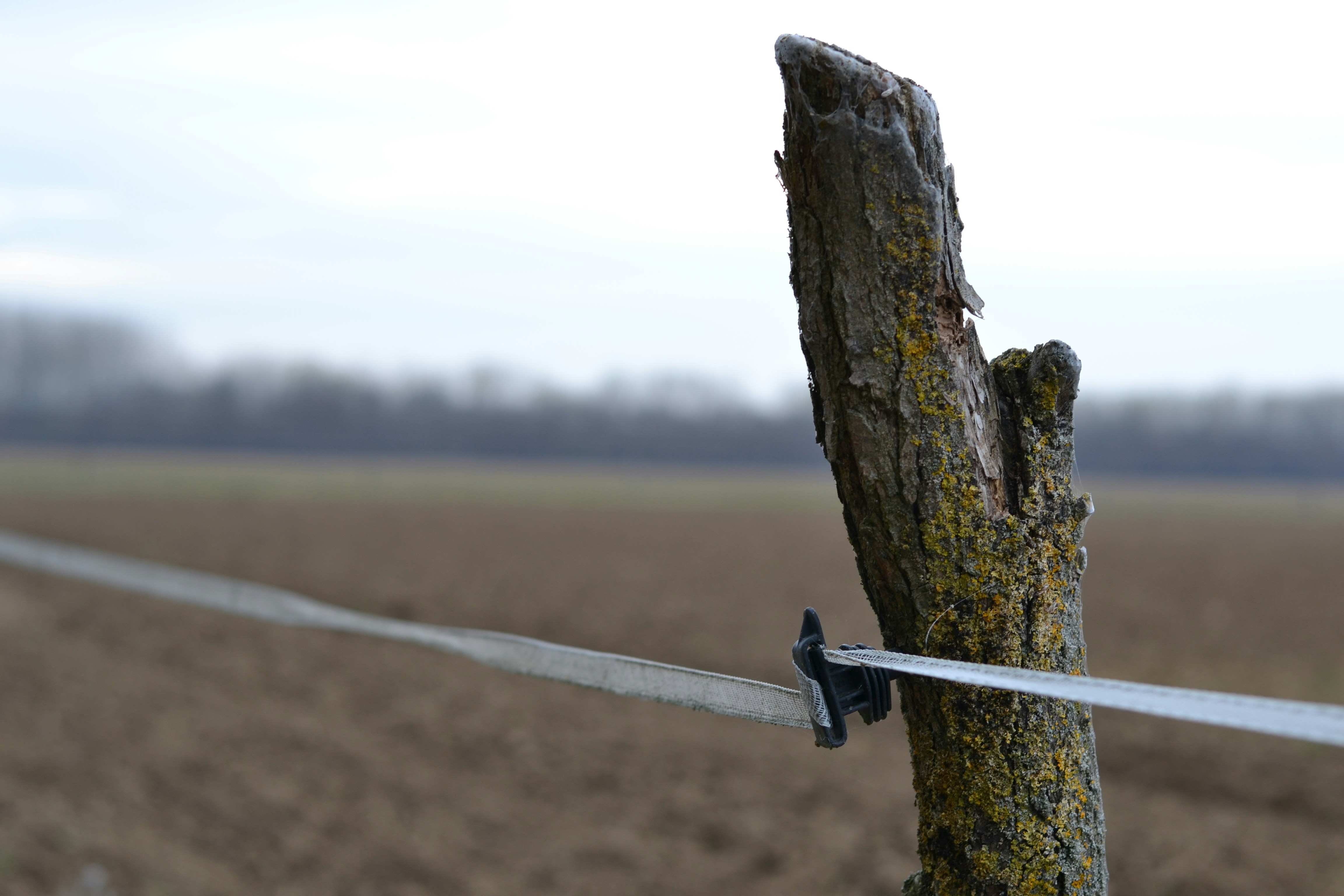 Advanced Surge & Power‑Quality Strategies for Mixed‑Age Homes in 2026