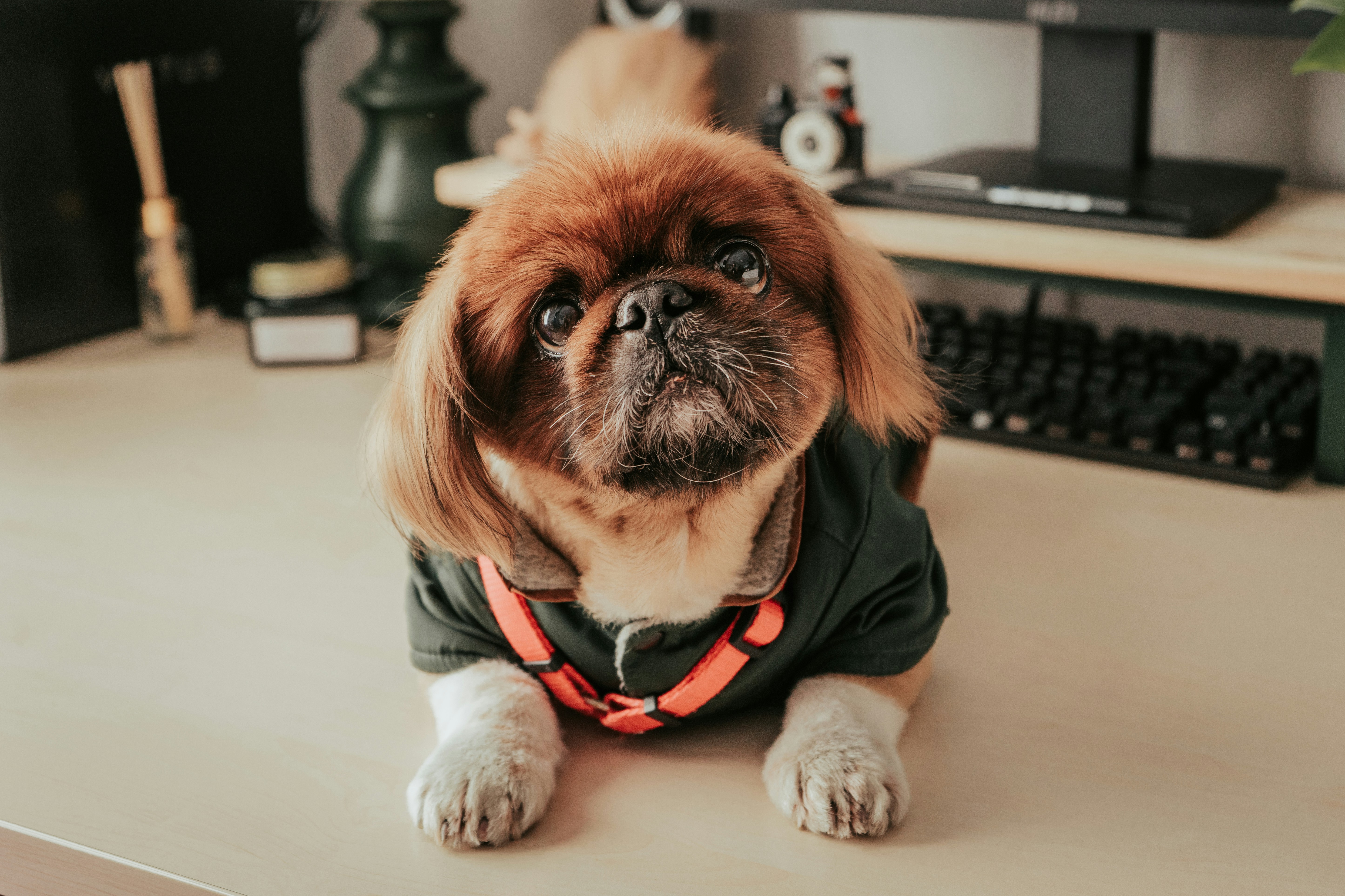 Photo by mariasolponce