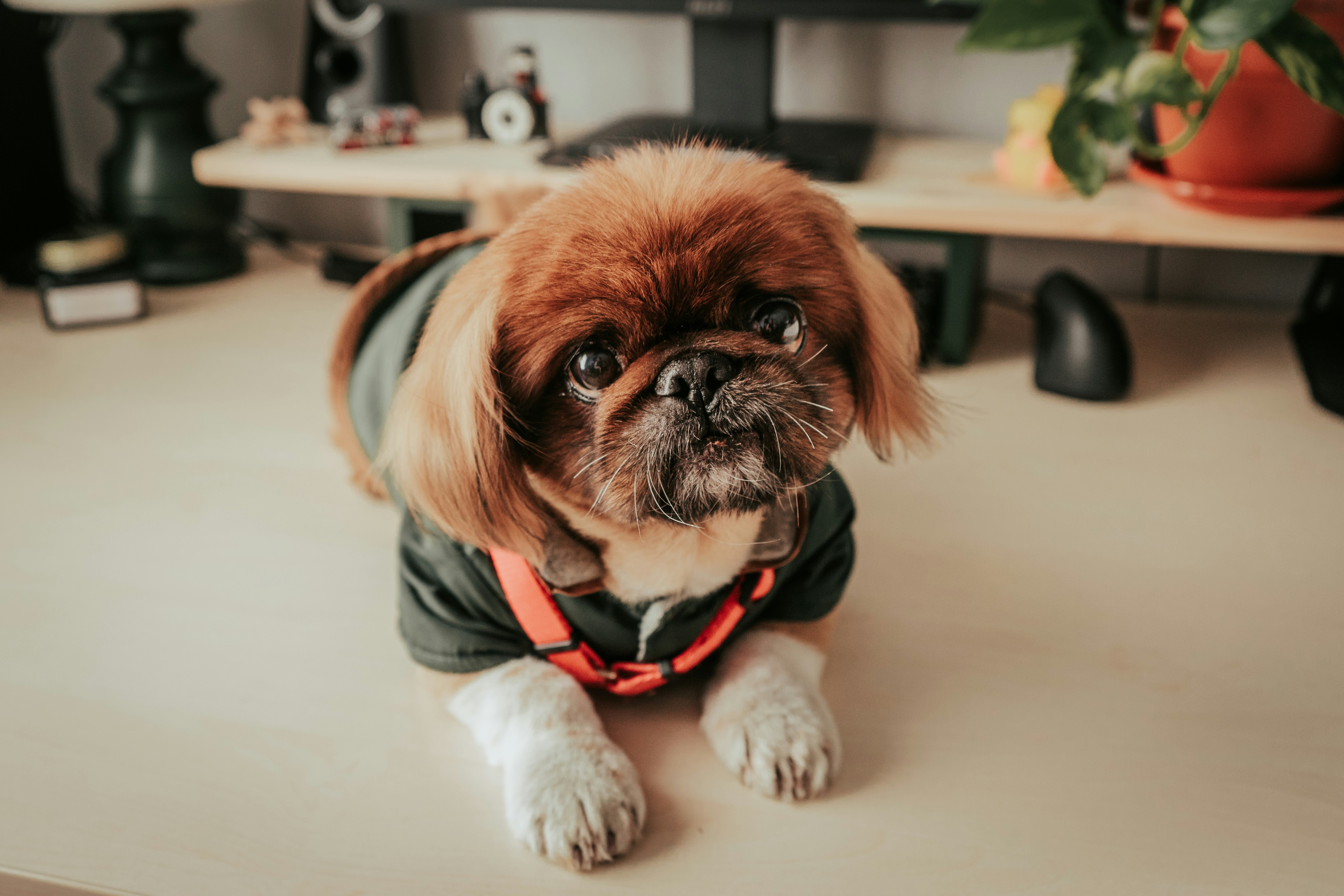 Photo by mariasolponce