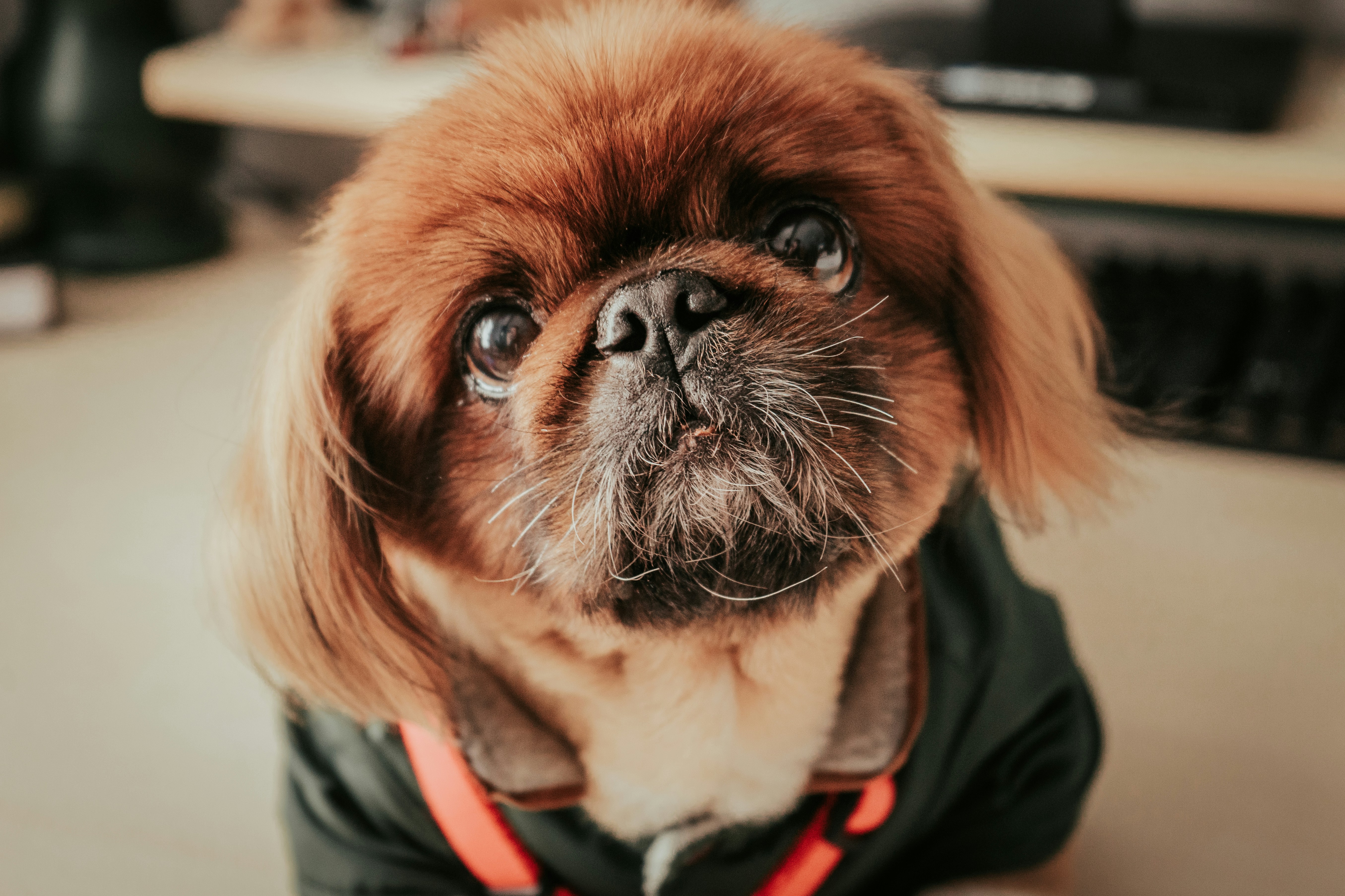 Photo by mariasolponce