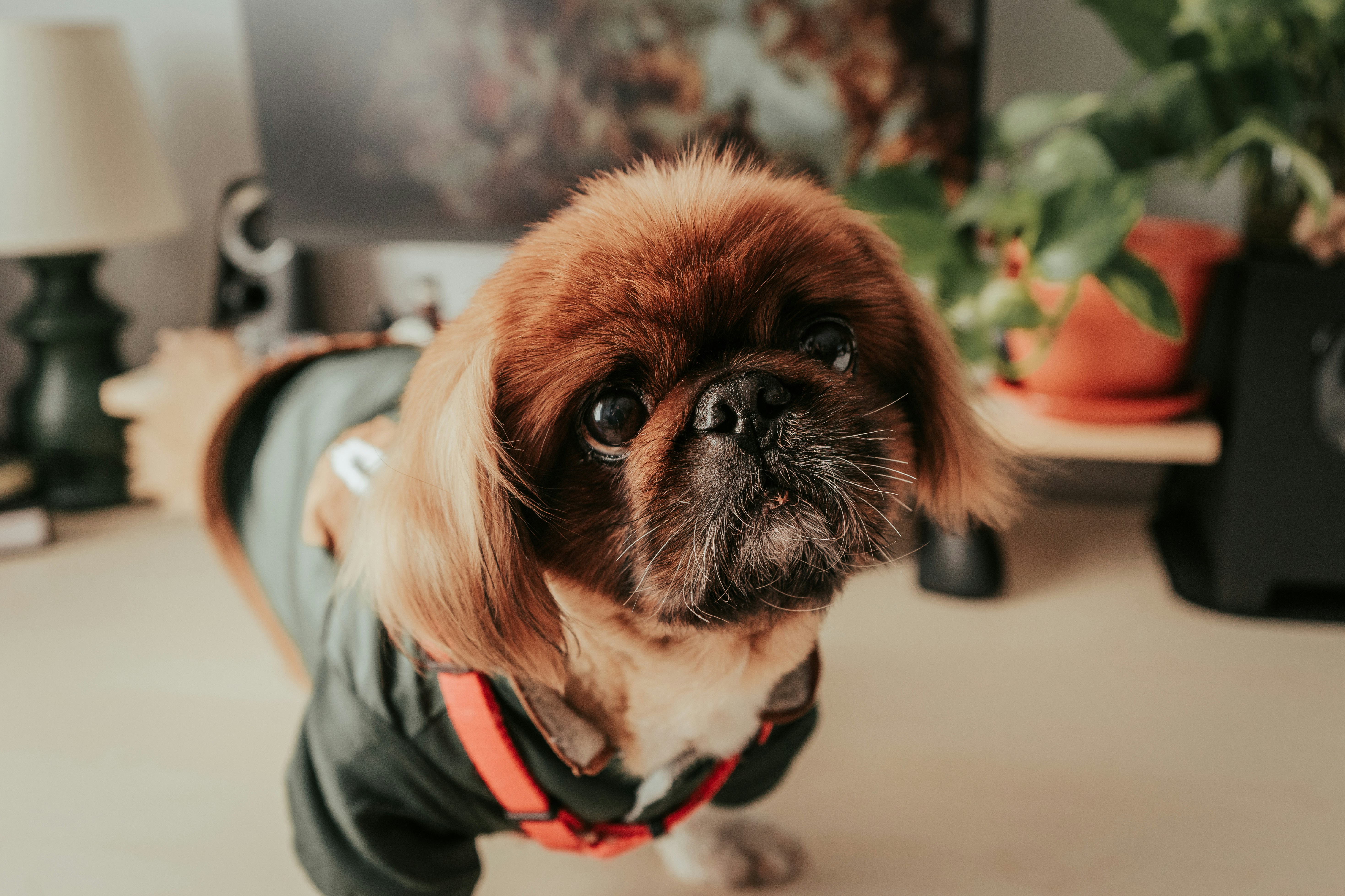 Photo by mariasolponce