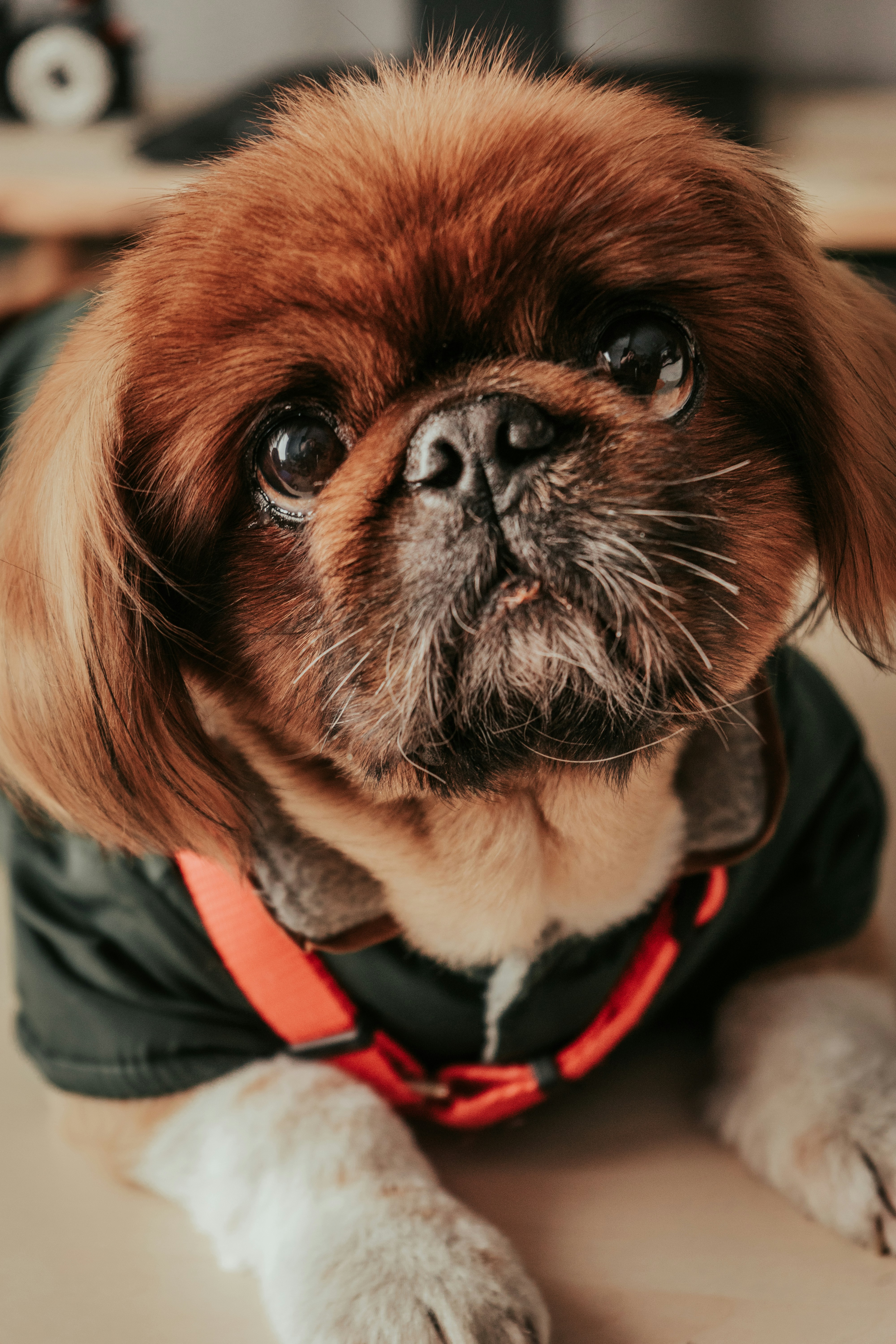 Photo by mariasolponce