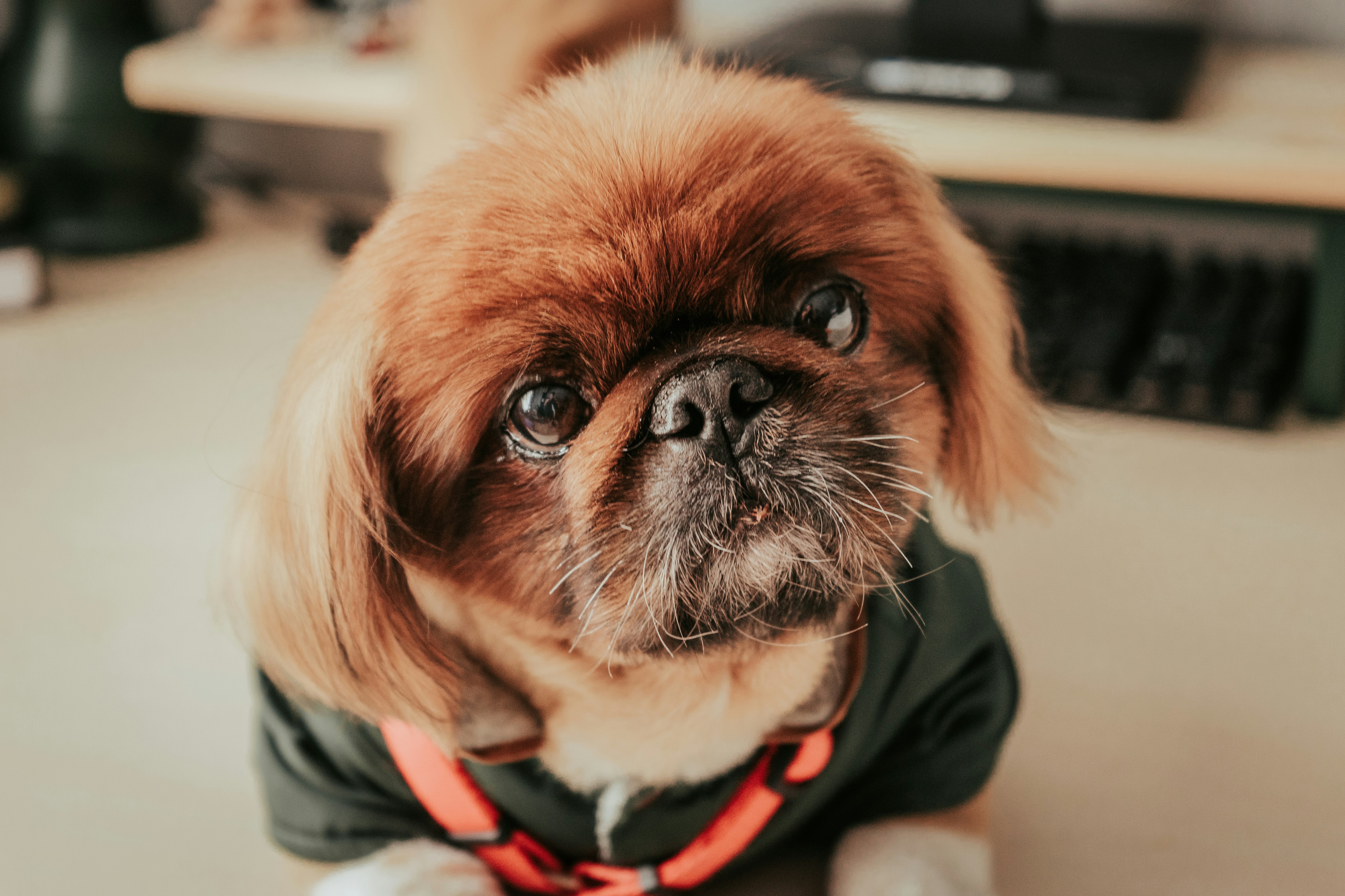 Photo by mariasolponce