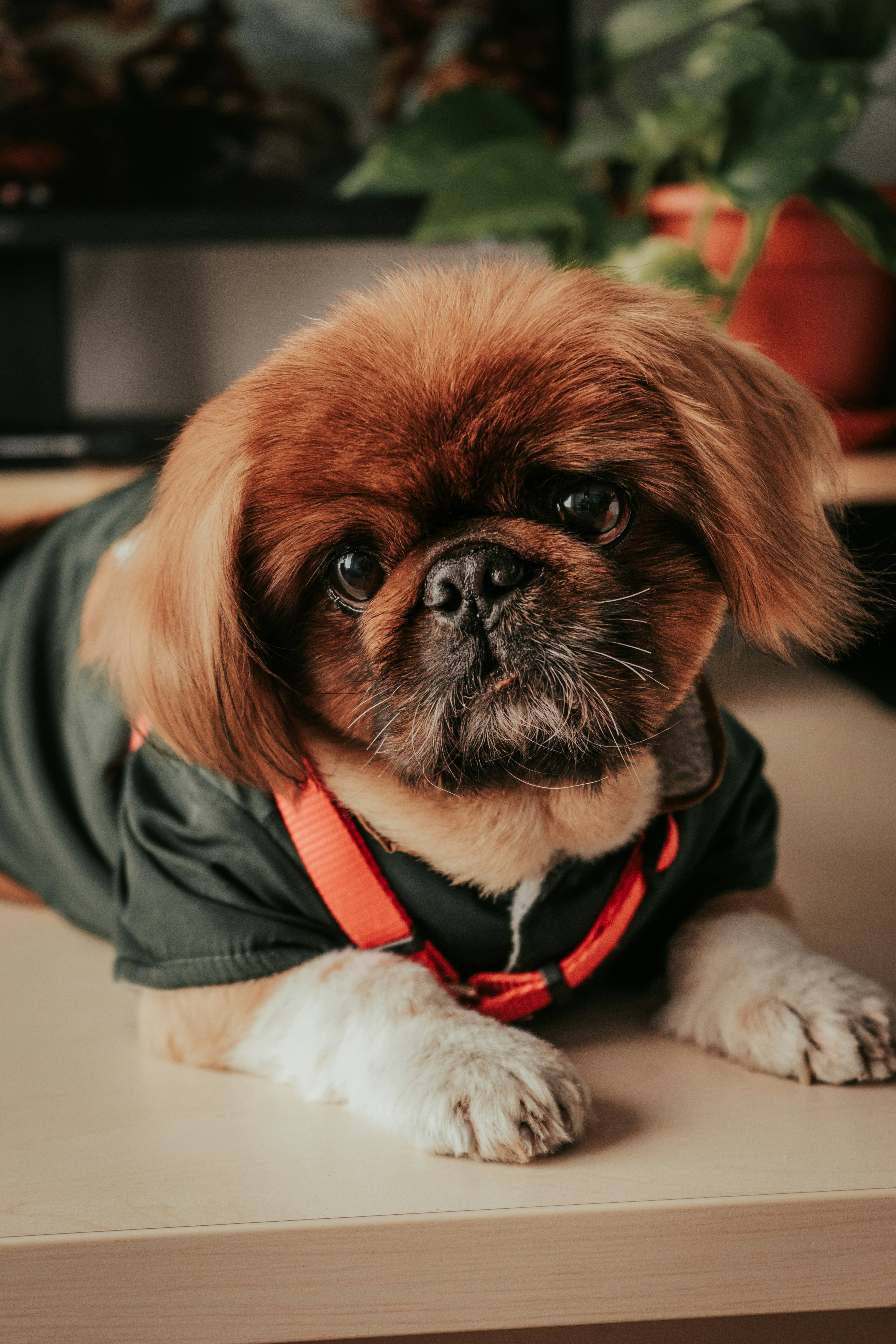 Photo by mariasolponce