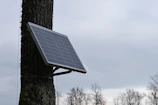 a solar panel attached to a tree