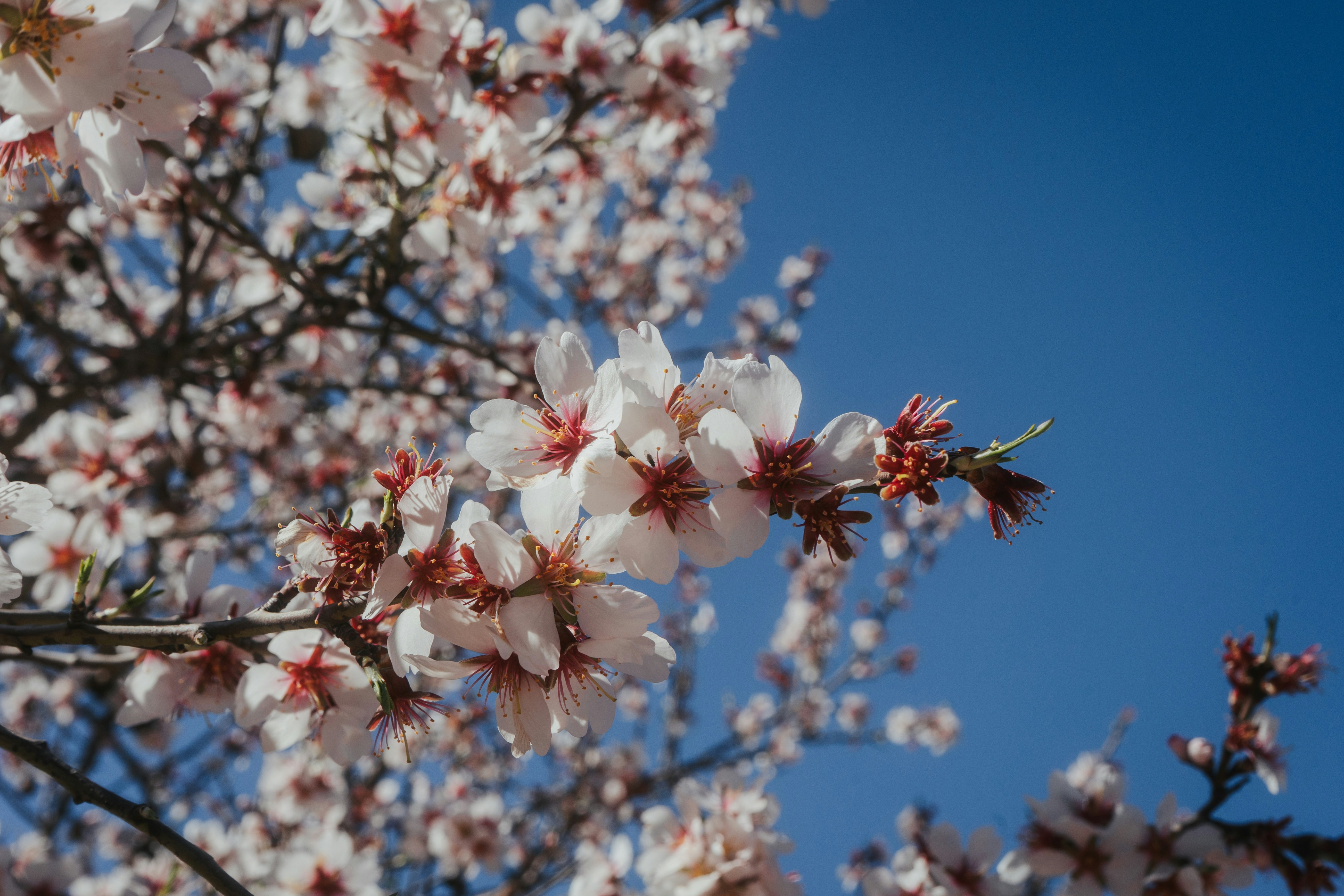 Photo by mariasolponce