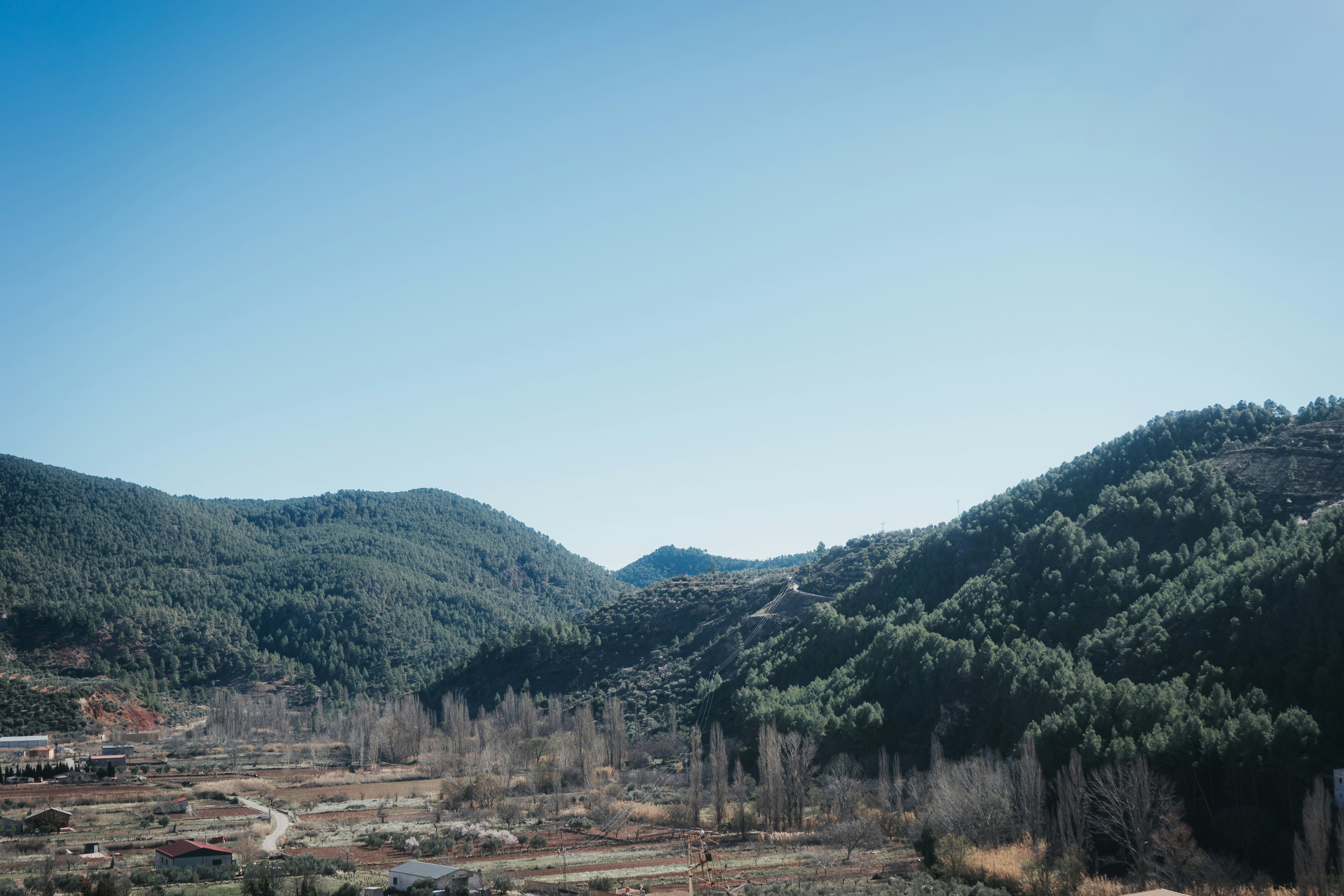 Photo by mariasolponce