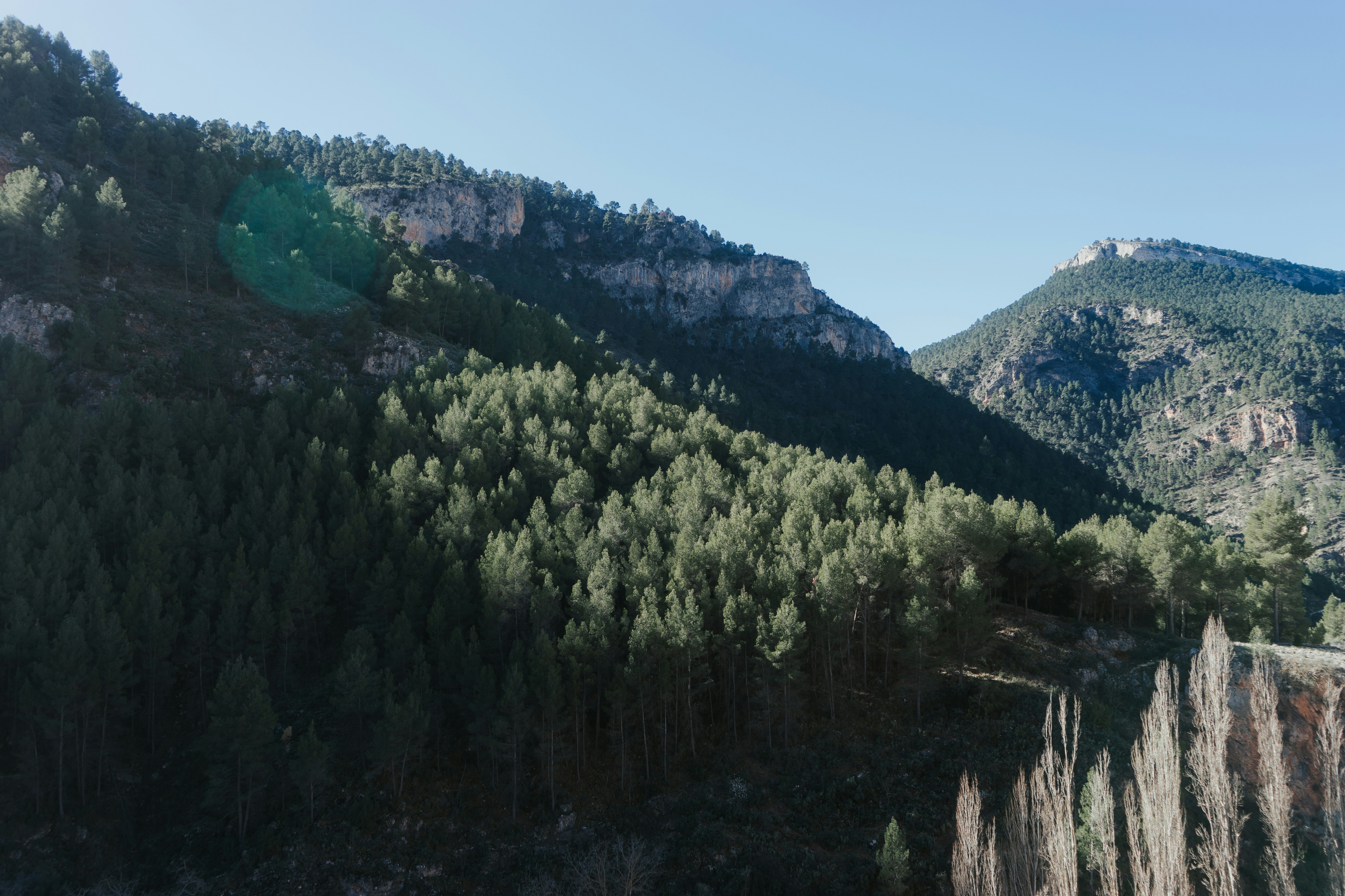 a view of a mountain with trees and mountains in the background
