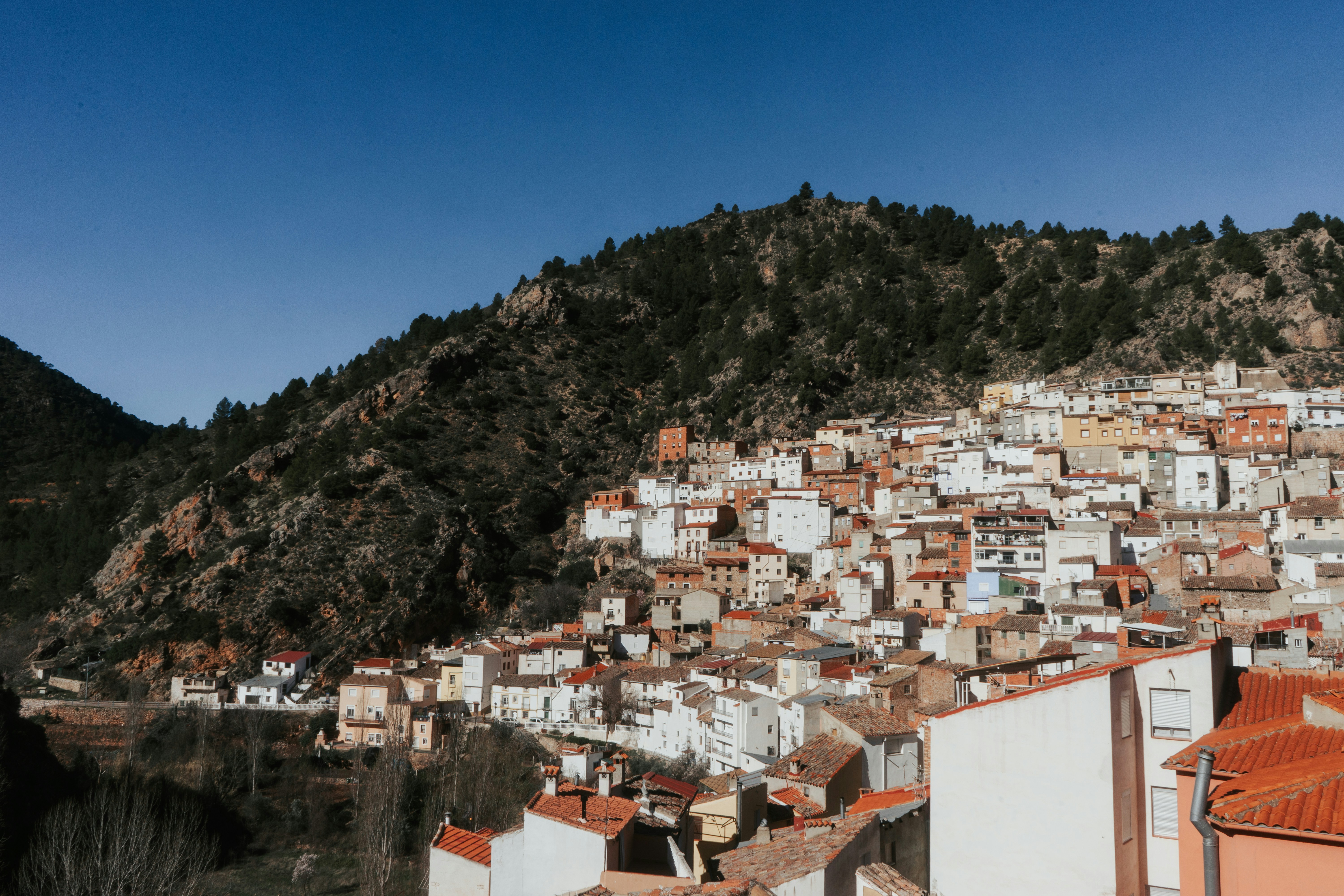a view of a city with a mountain in the background