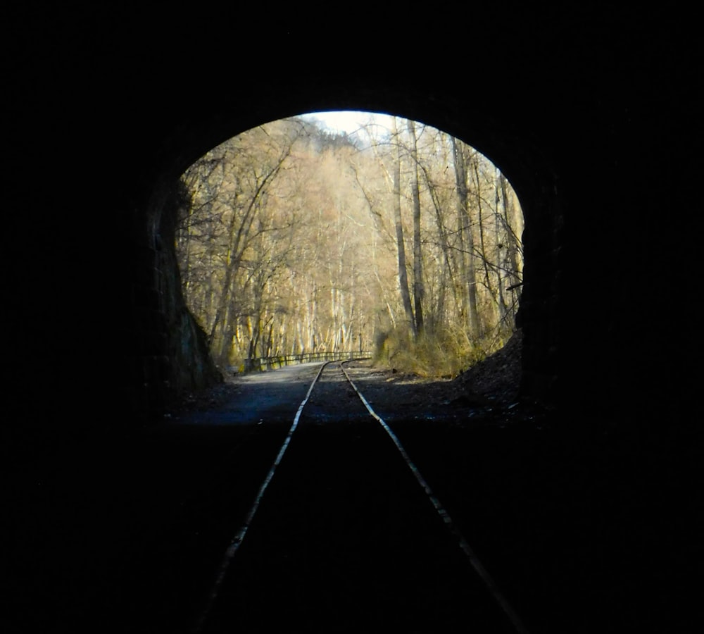 a dark tunnel with a train track going through it
