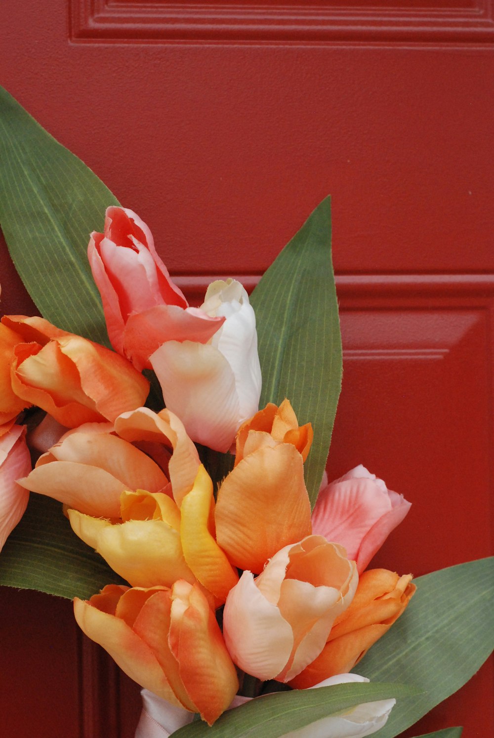 a bouquet of orange and white tulips on a red door