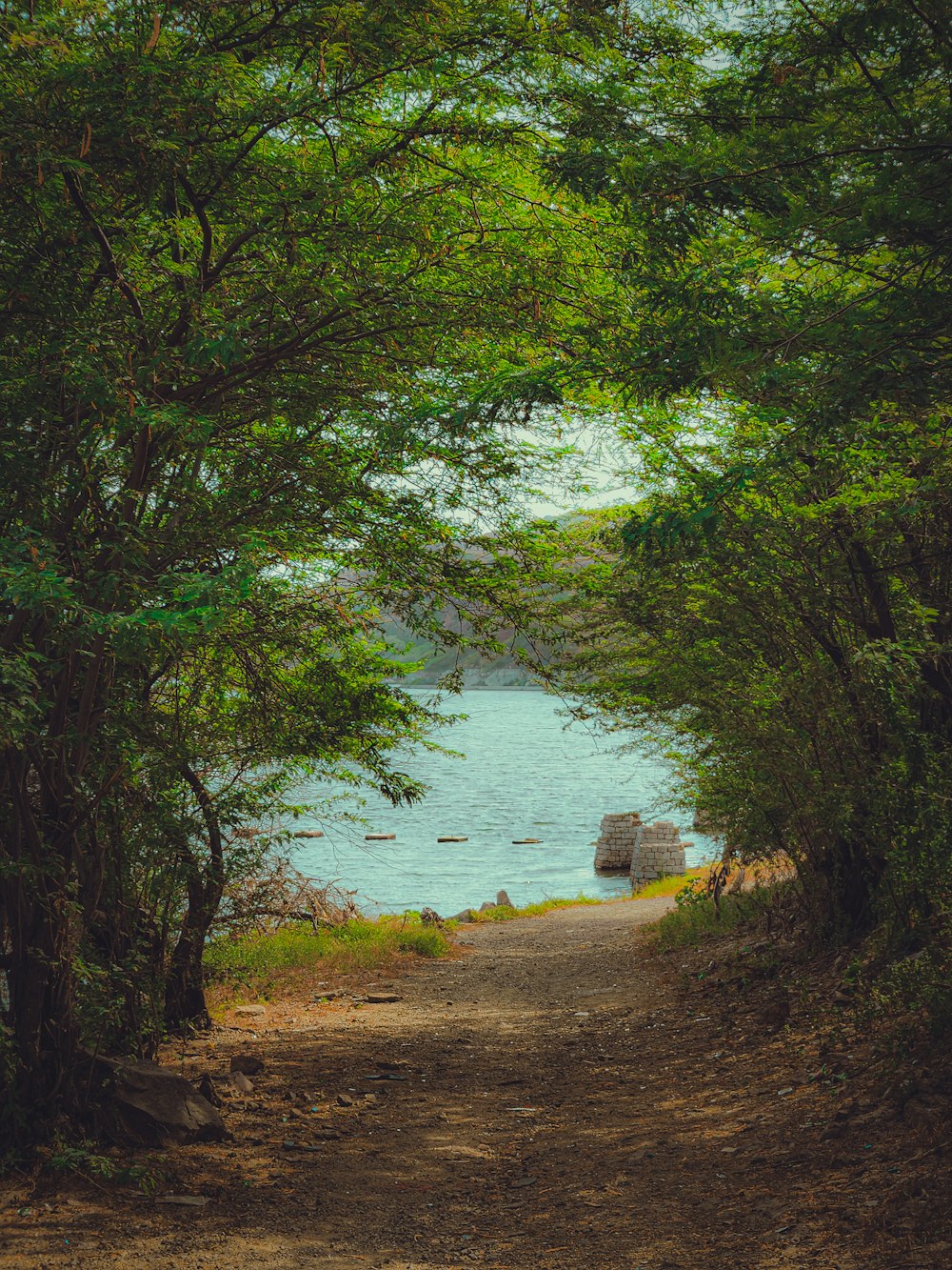 a bench sitting on a dirt road next to a body of water