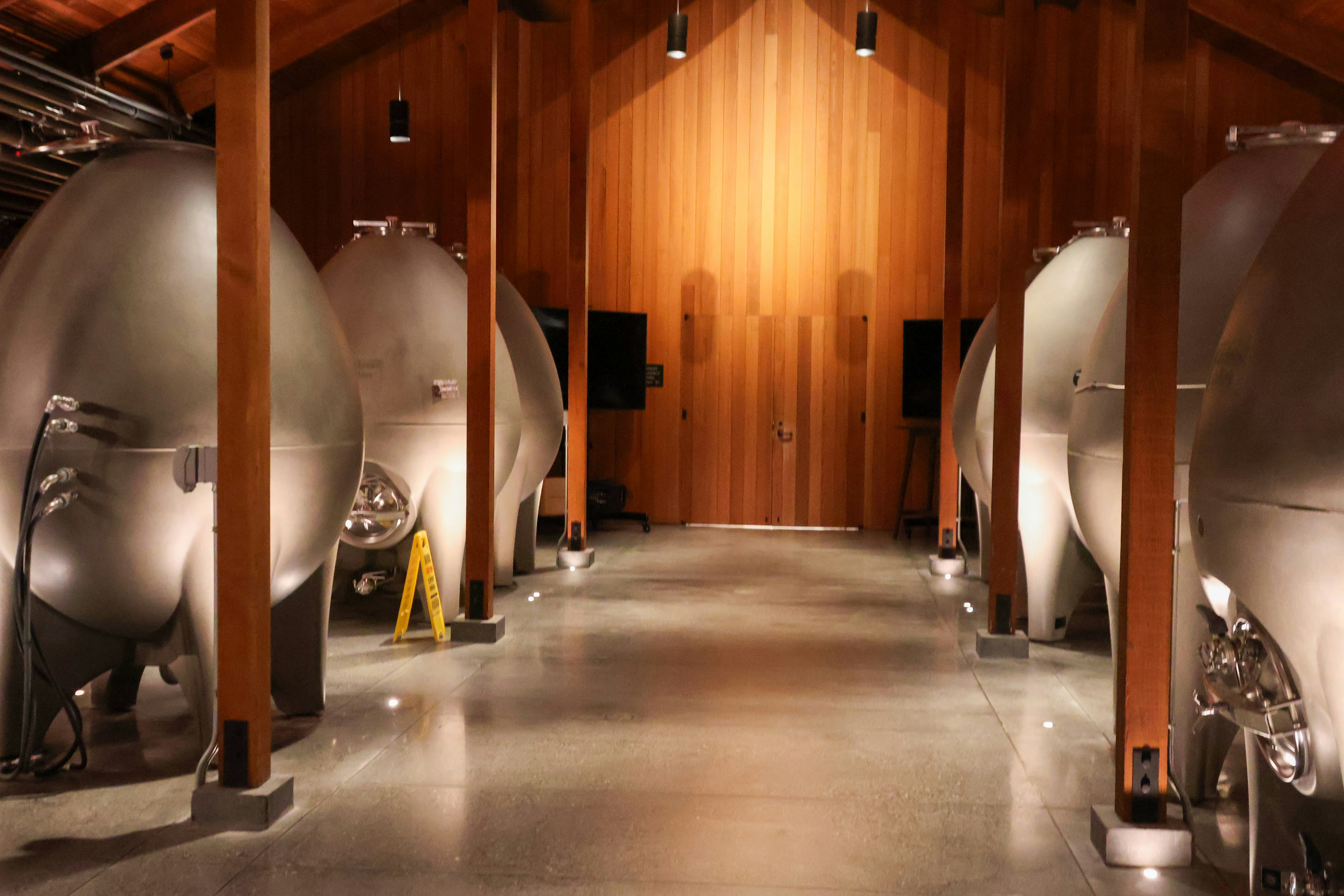 Row of ceramic vessels aging vinegar in an underground cellar