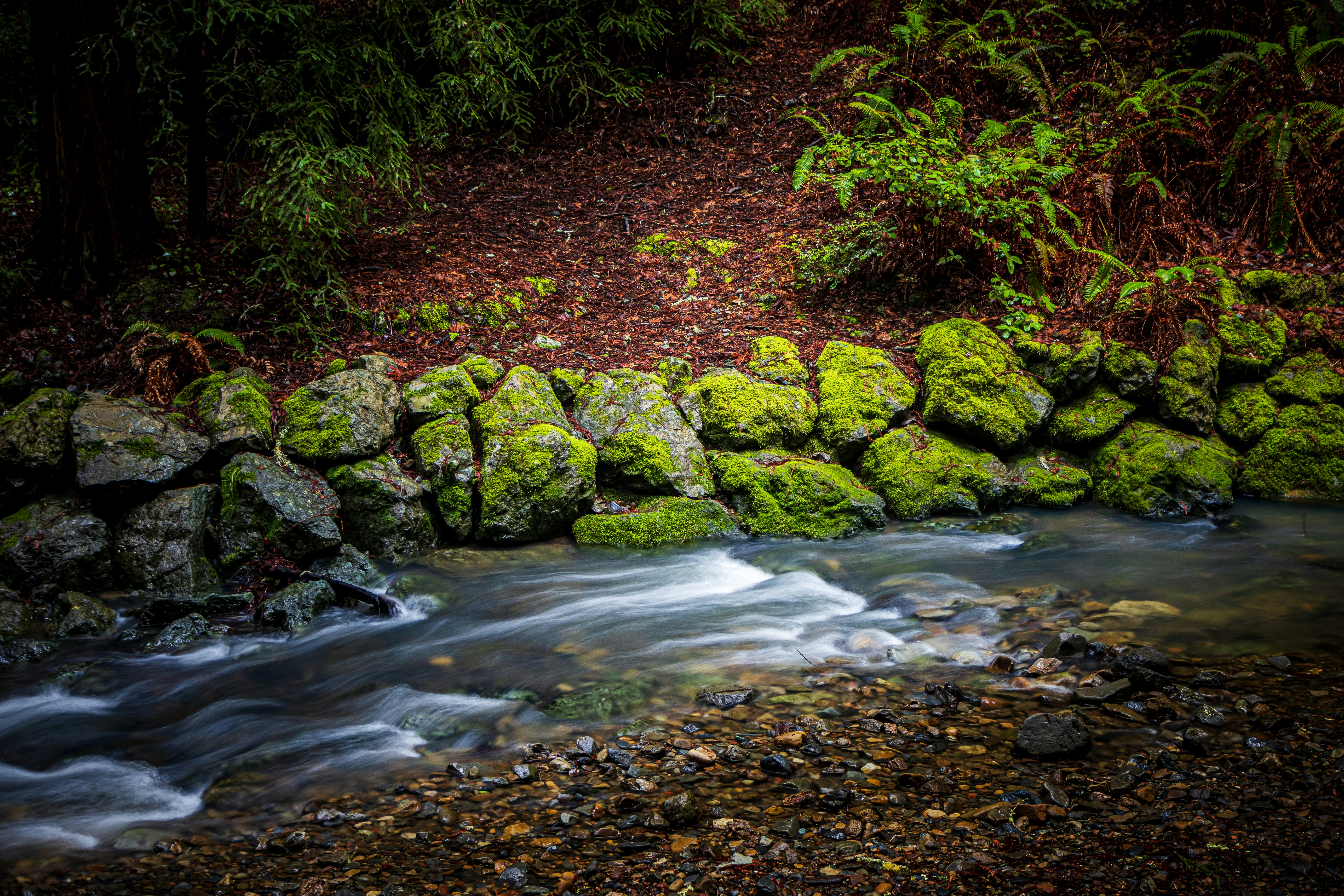 Photo by brice_cooper18