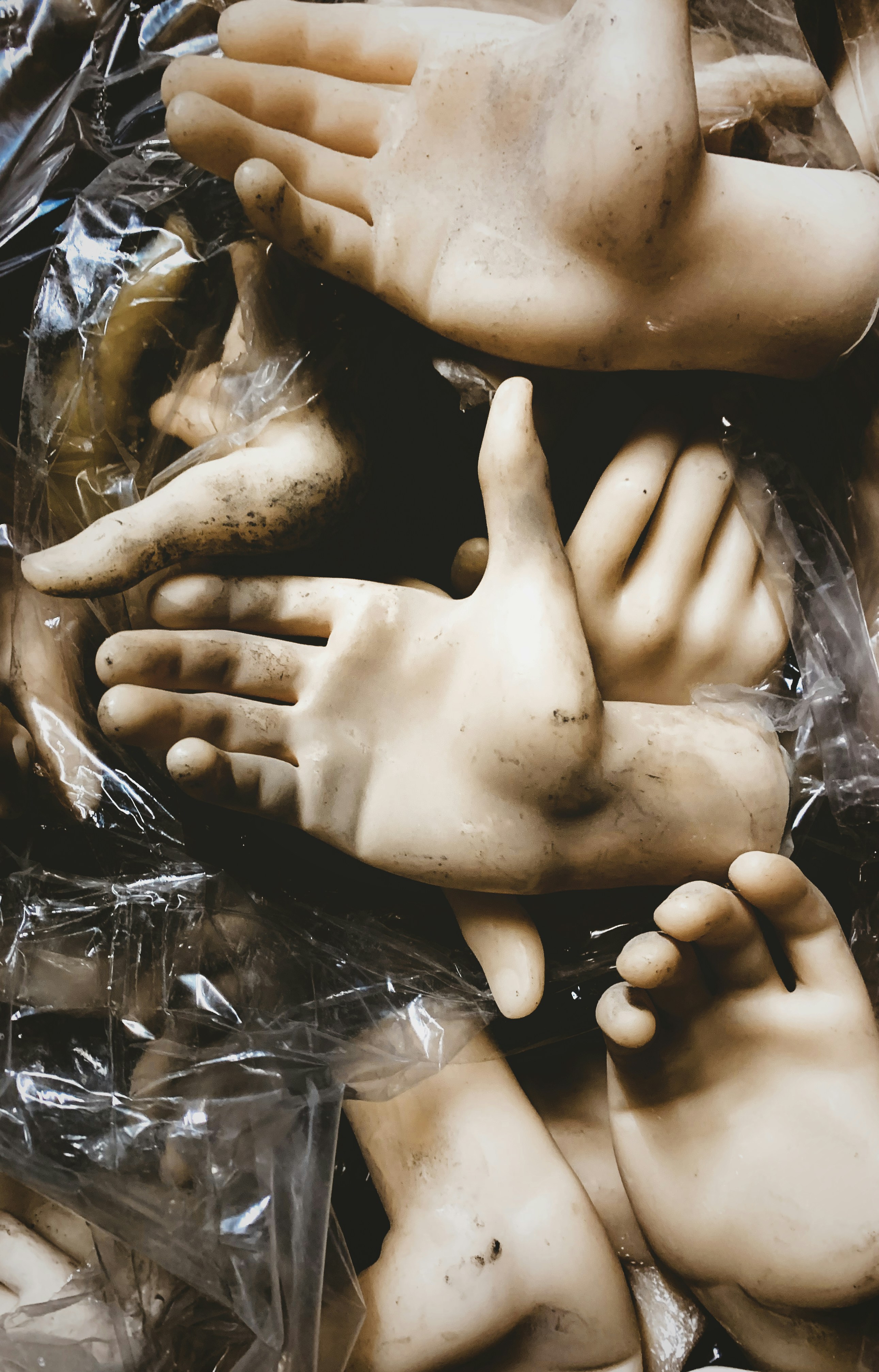 Photo by david_underland