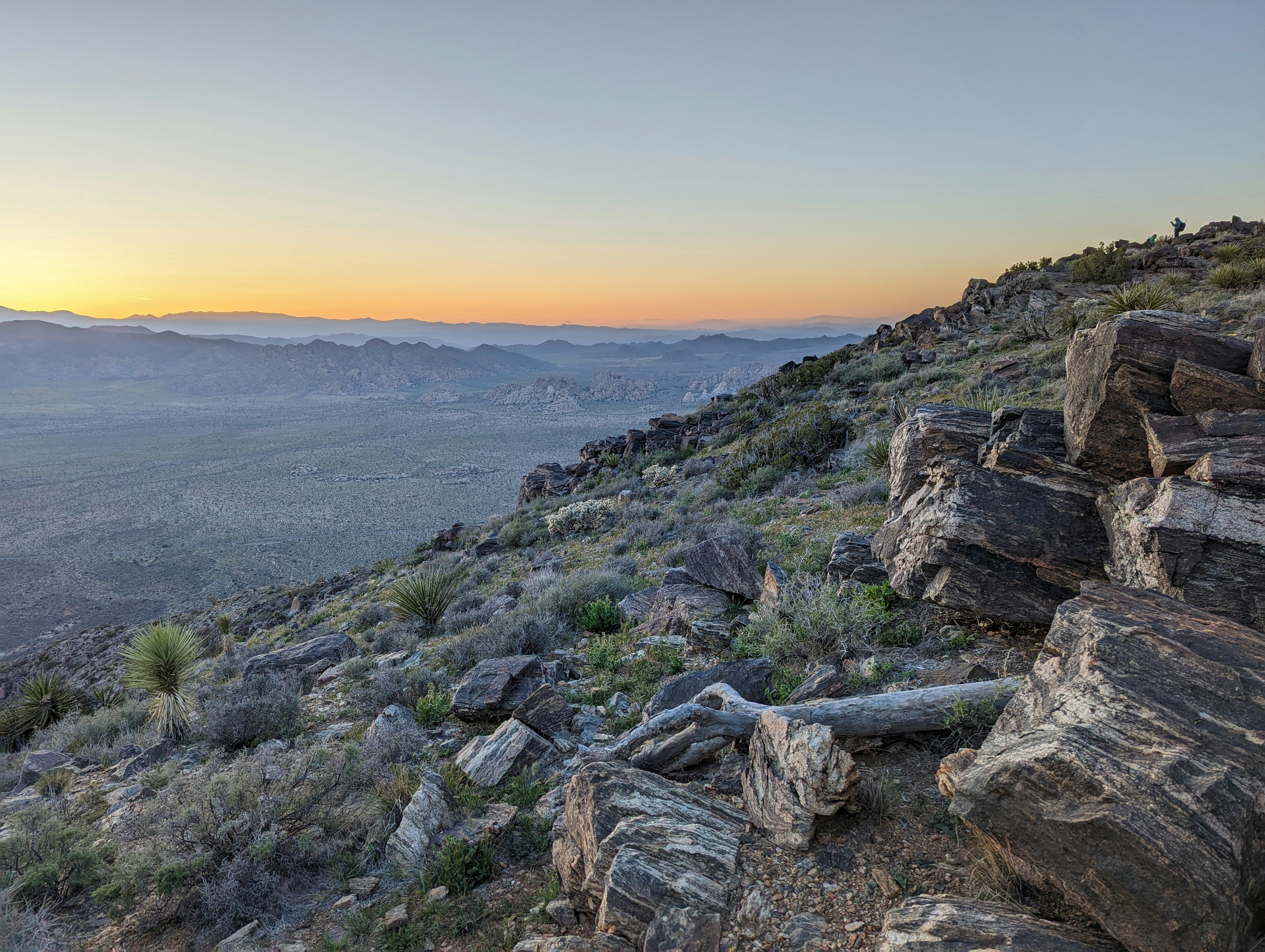 Hiker standing on mountain ridge overlooking vast Namibian desert plains at sunrise