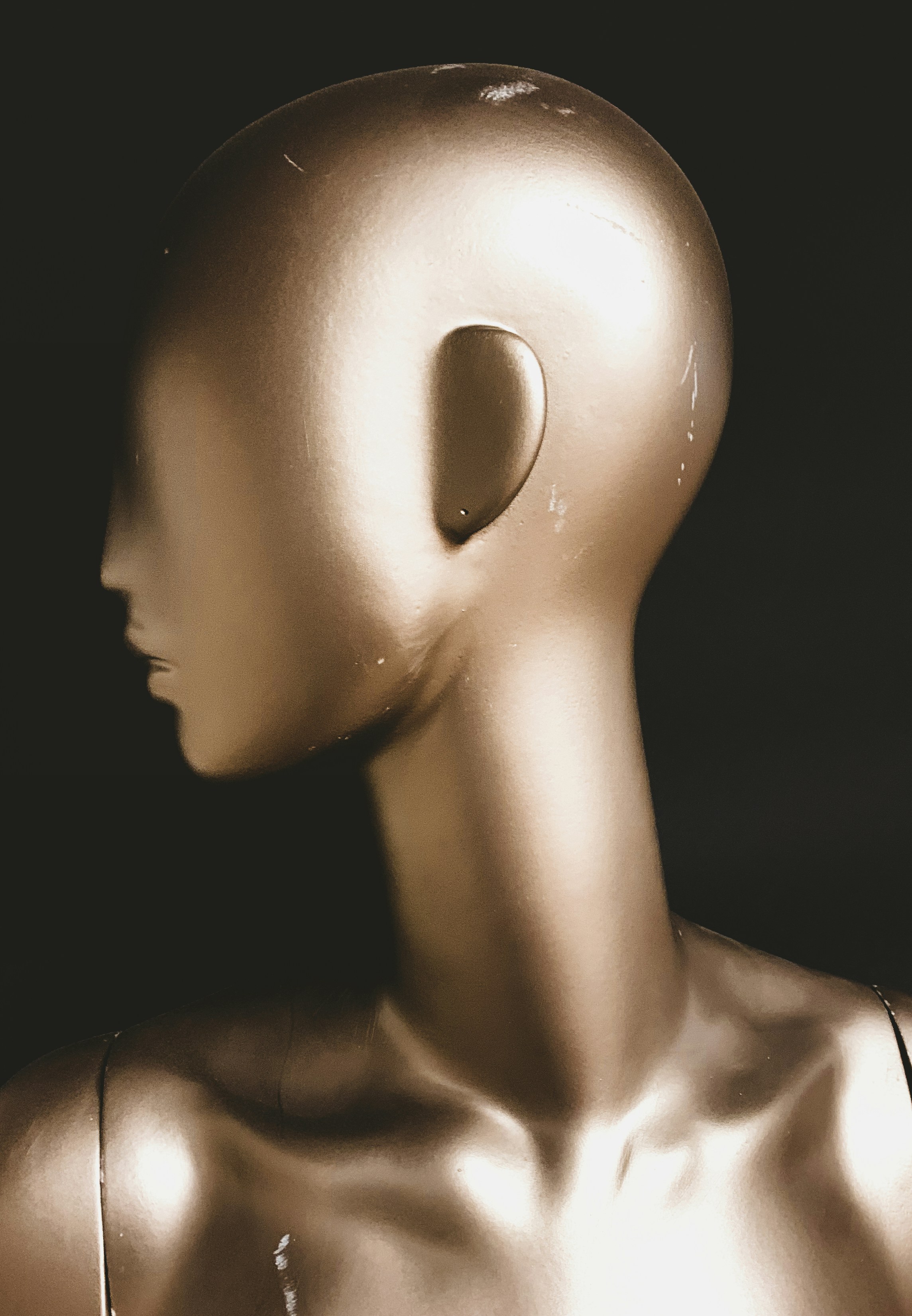 Photo by david_underland