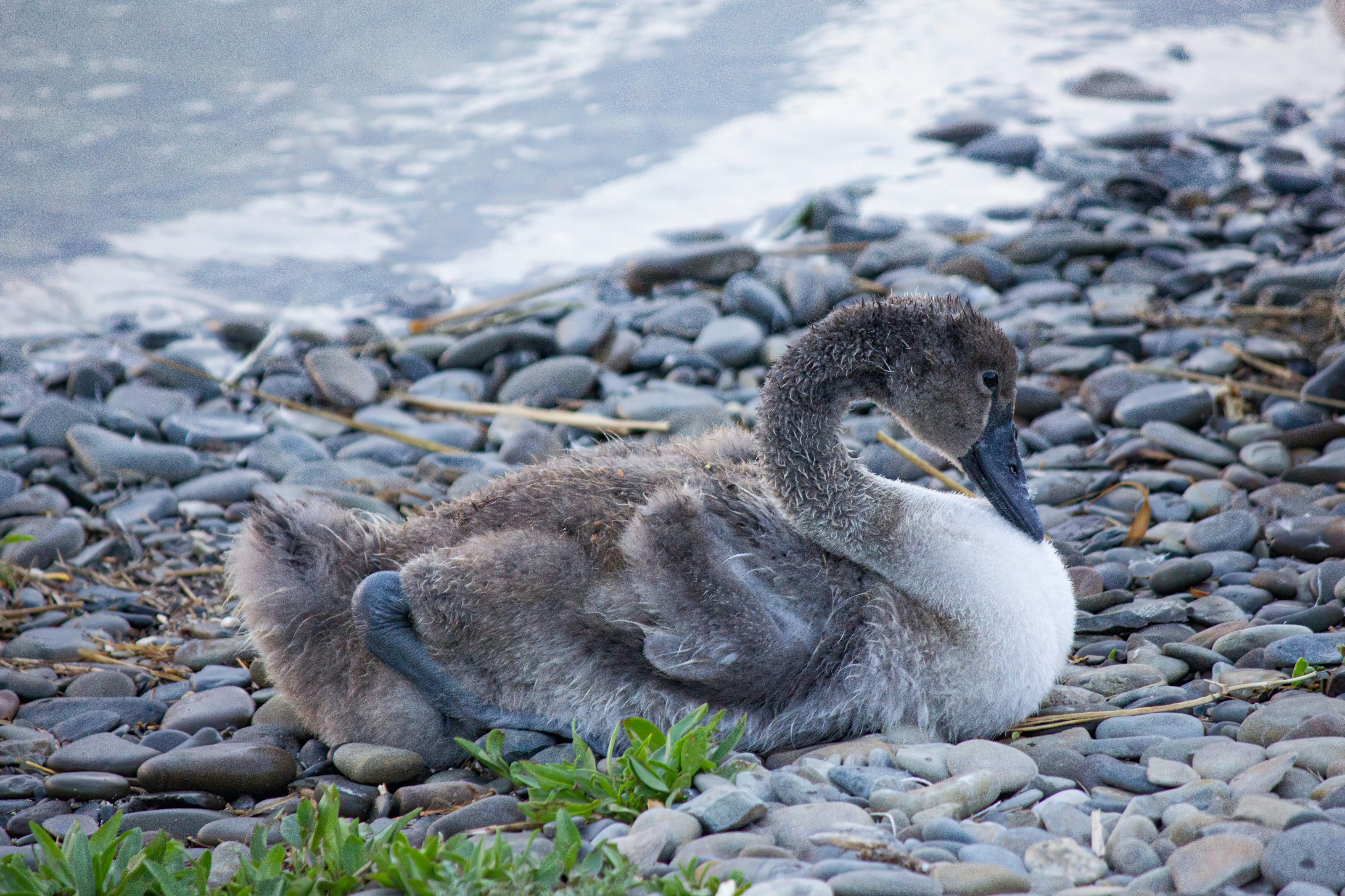 Photo by stepan_konev