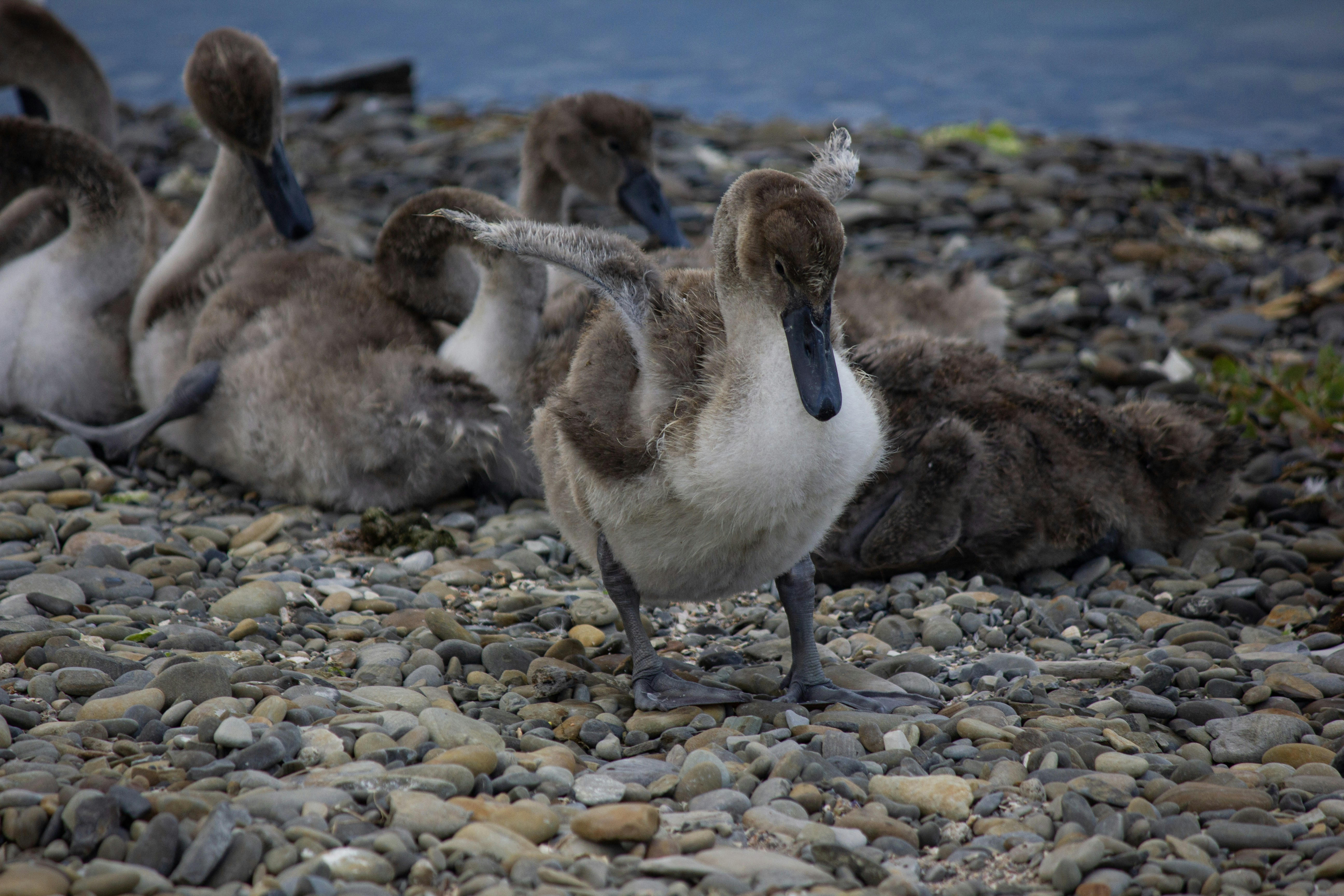 Photo by stepan_konev