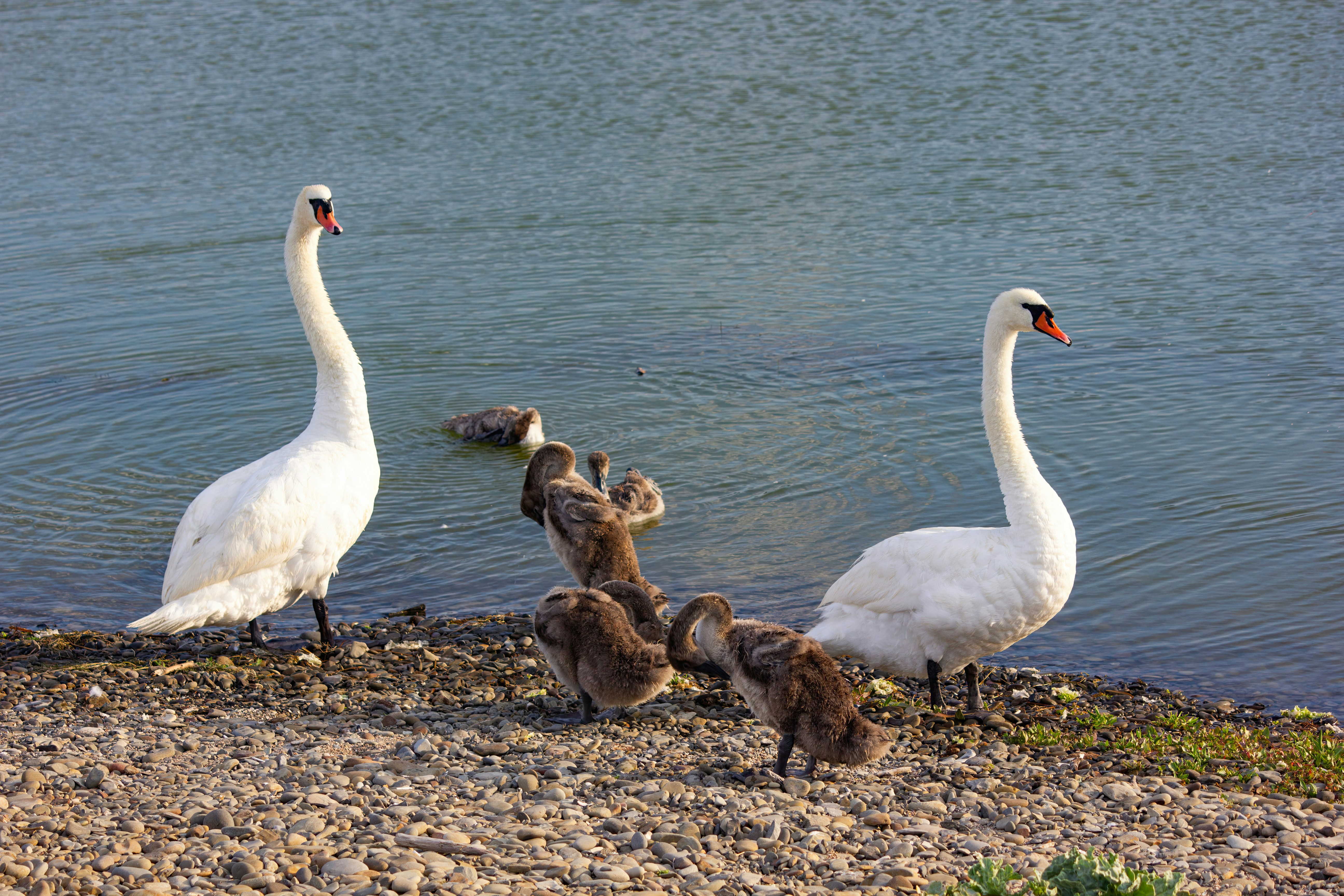 Photo by stepan_konev