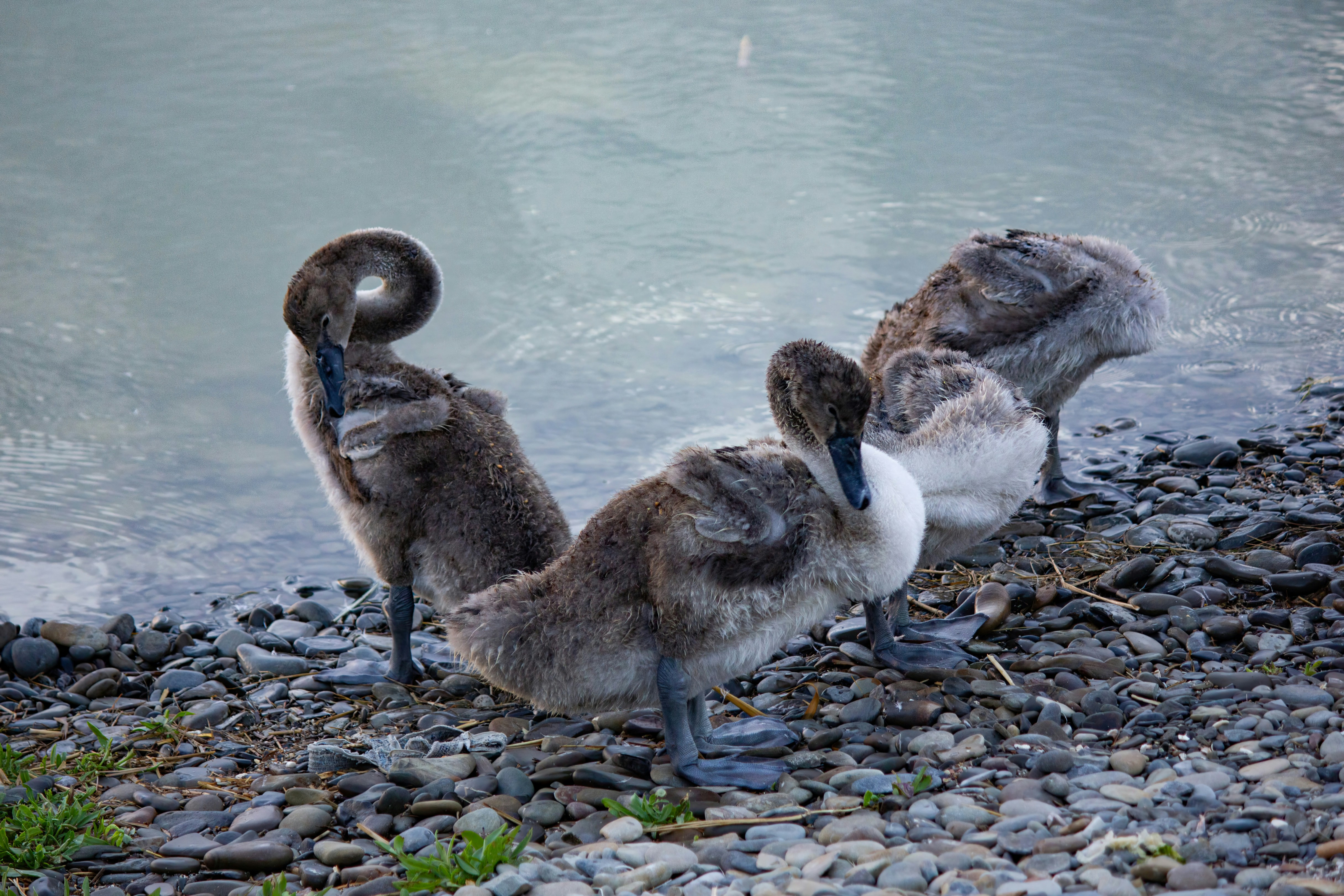 Photo by stepan_konev