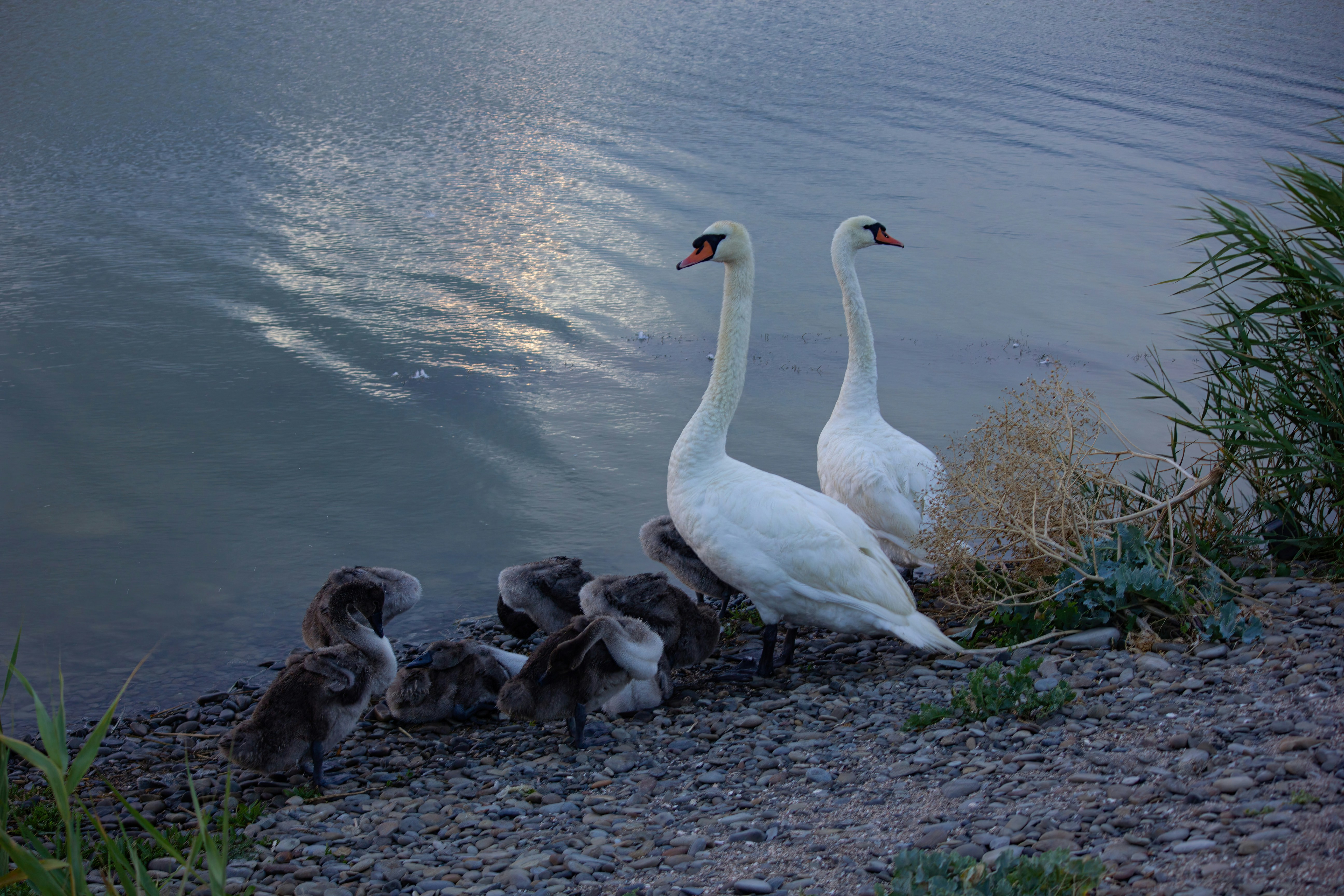 Photo by stepan_konev