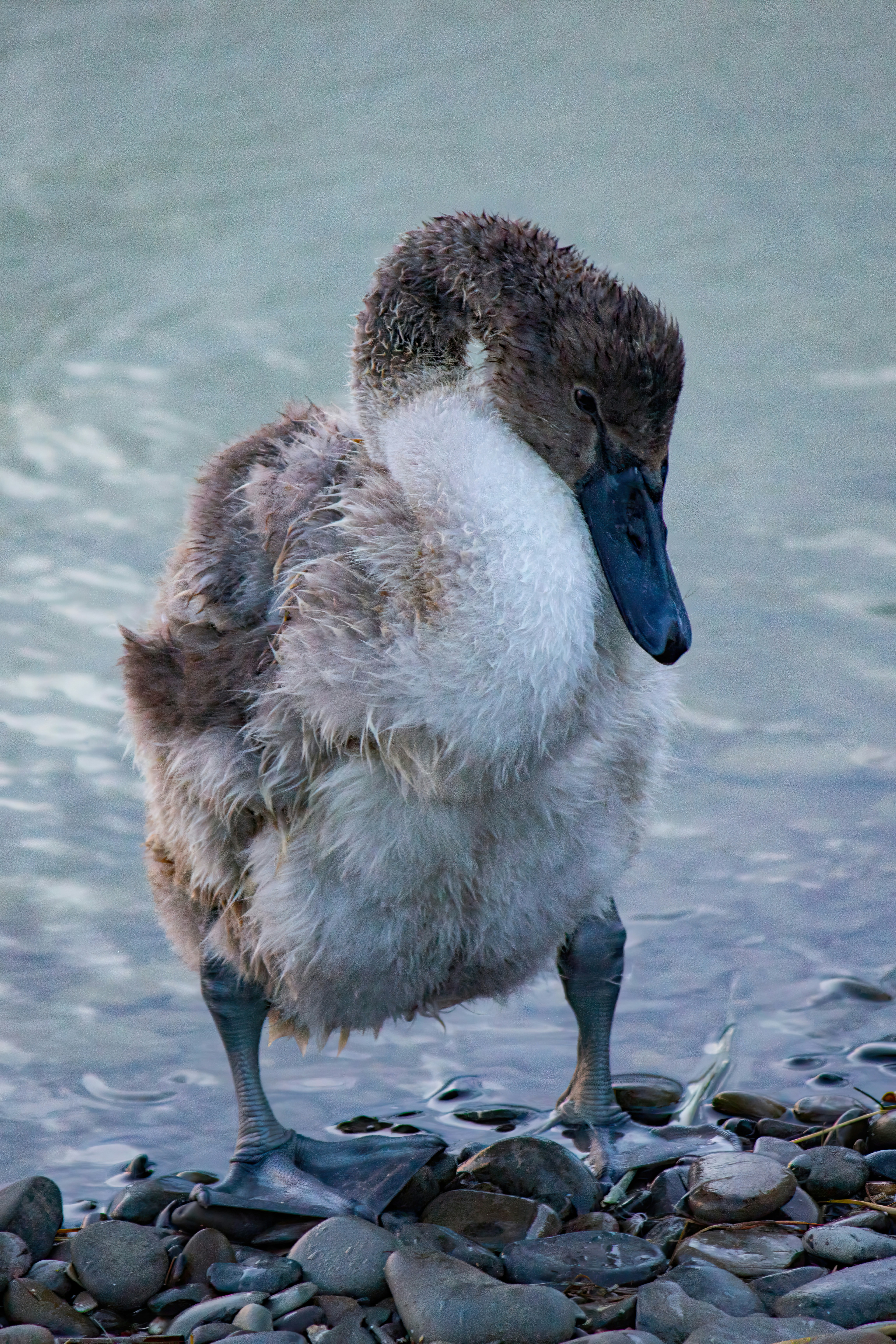 Photo by stepan_konev